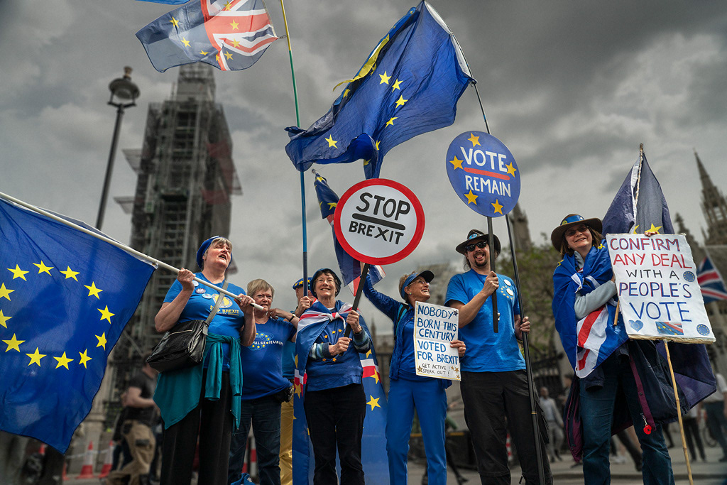Remain protestors