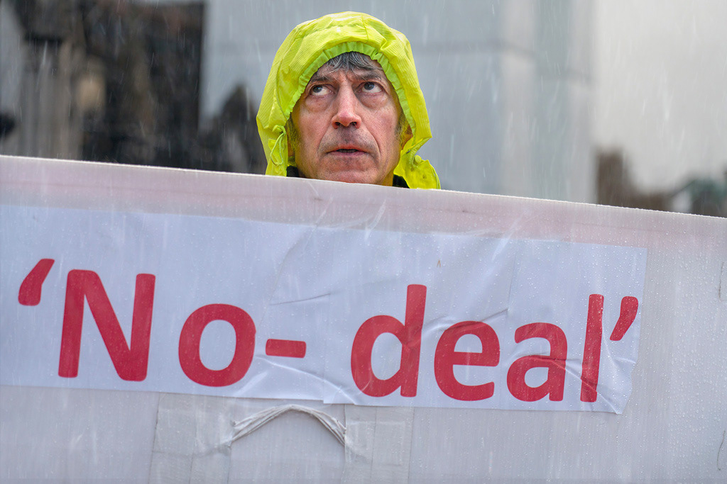 No-deal leave-supporting protester