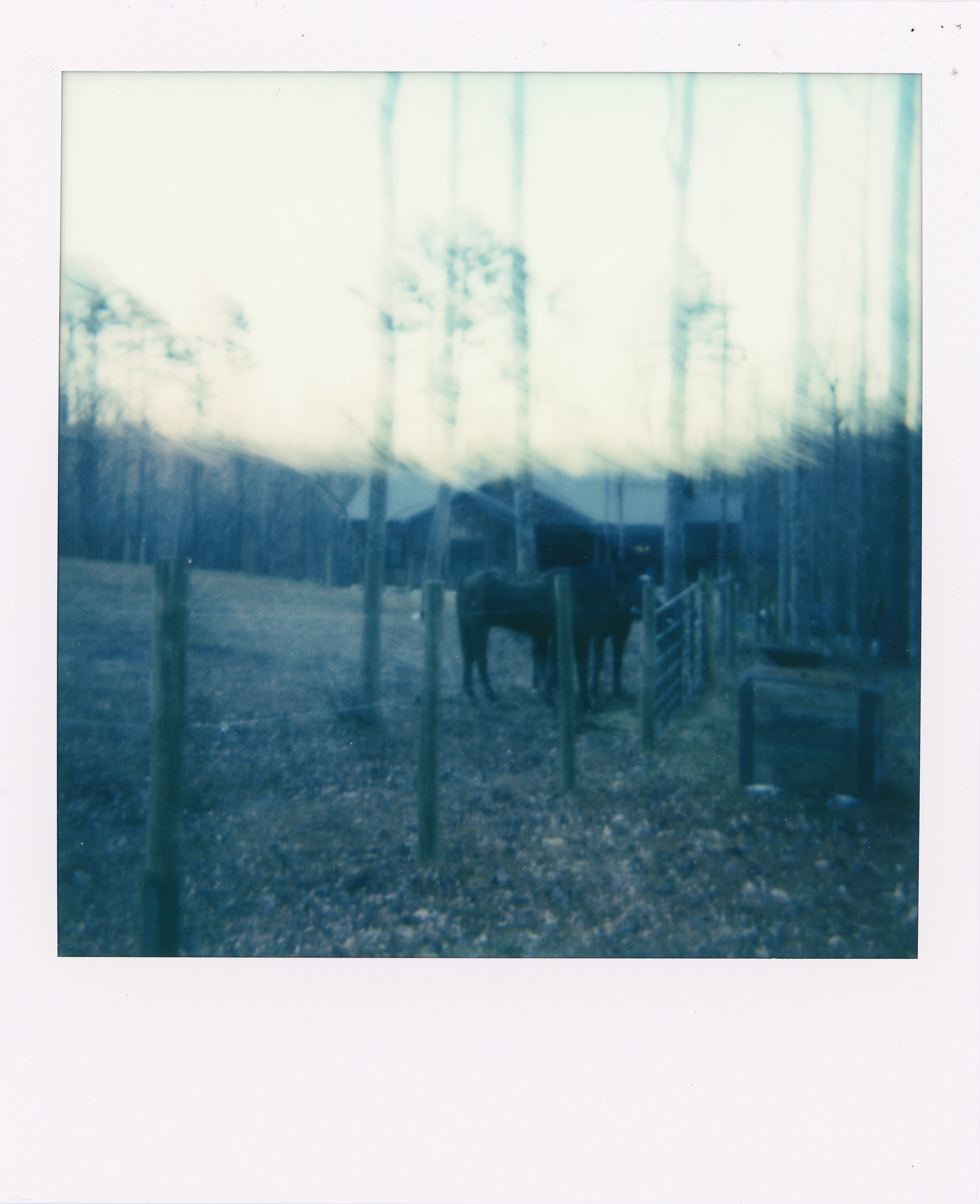 photo taken by Sarah Honbarrier