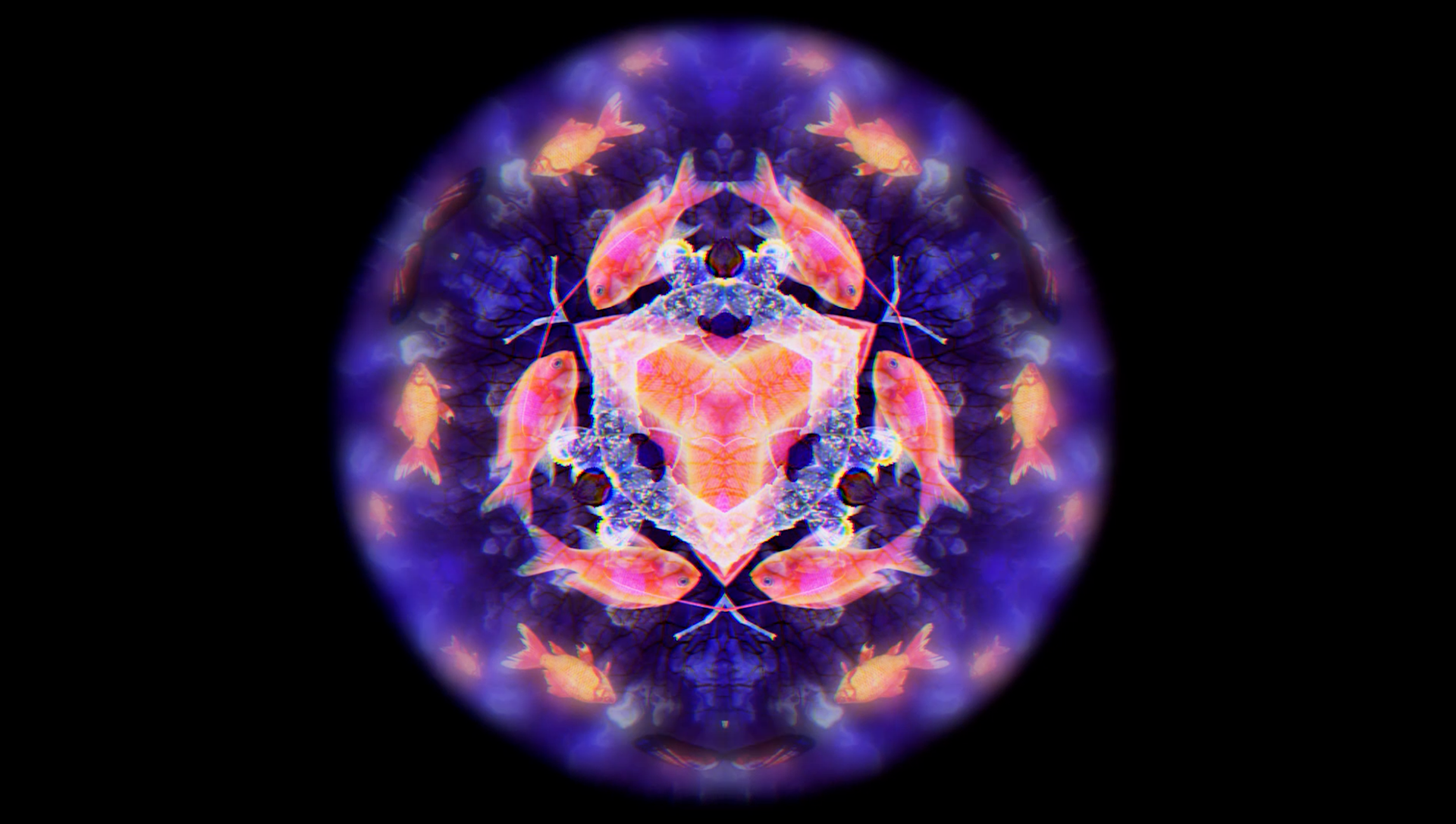 Animation 04 - Kaleidoscope