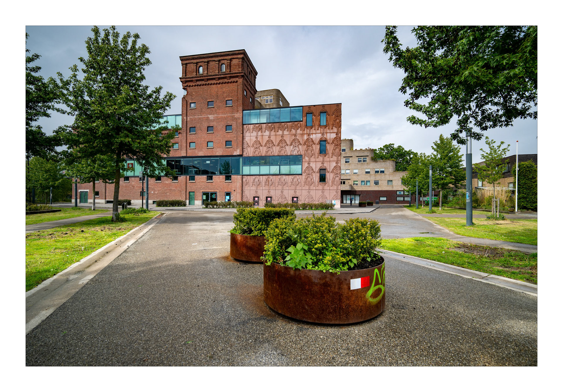 Afbeelding