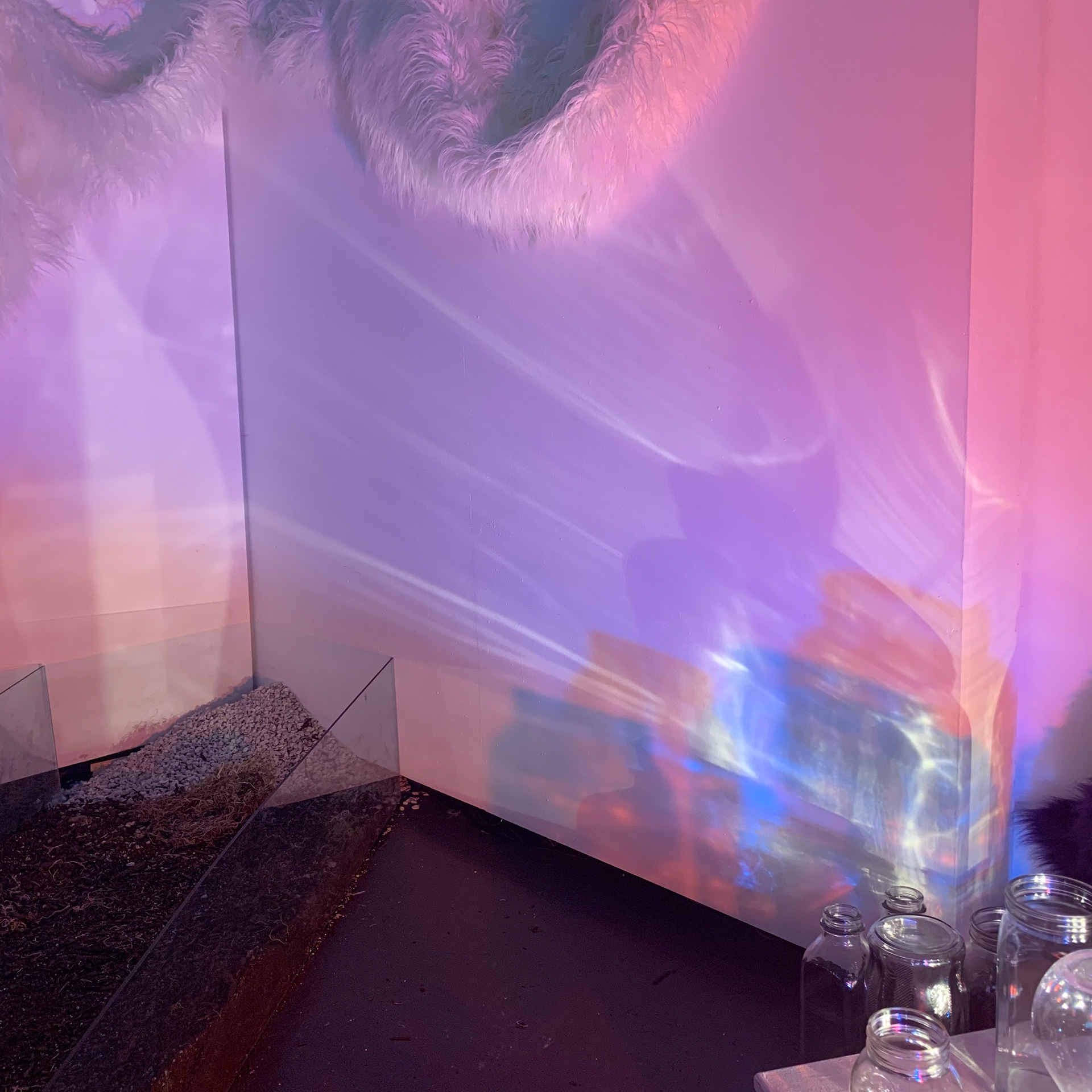 Detail of lights refracting through glass and changing based on motion