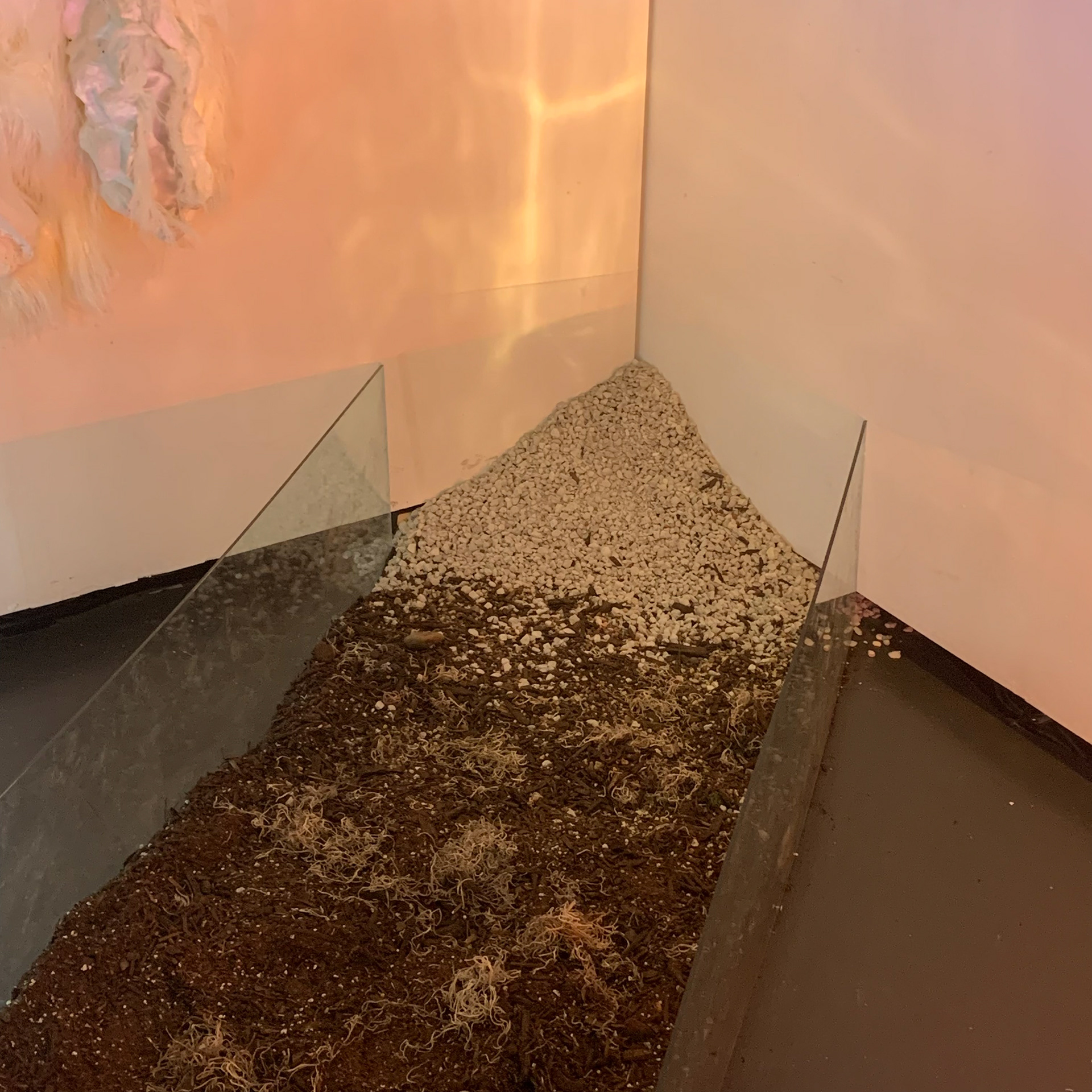 Detail of tactile ground structure made of wood and glass, containing dirt, mulch, moss + gravel