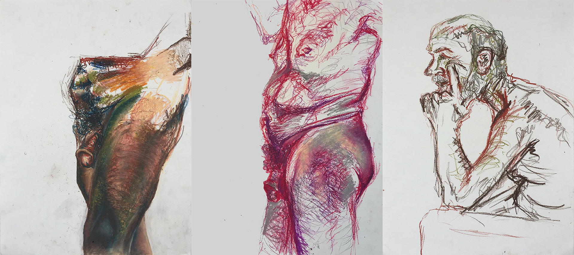 24"x18" each : oil pastel on bristol