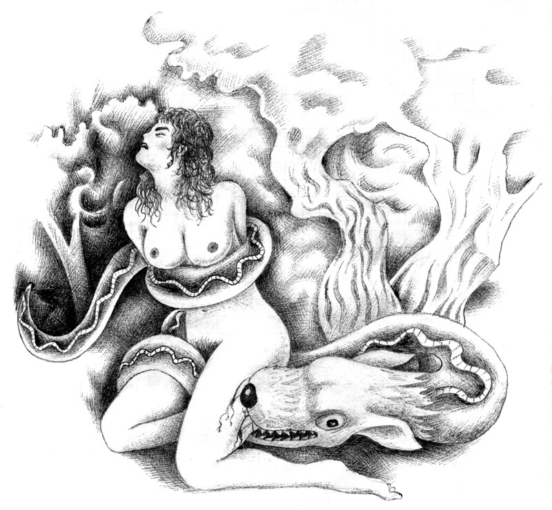 The Wolfsnake © 1993