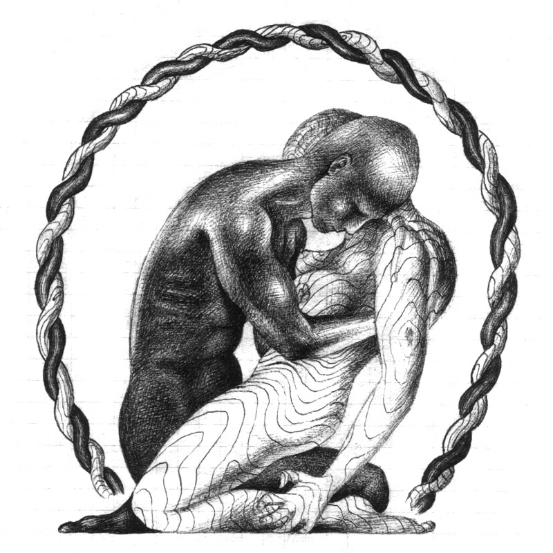 Iron in Wood © 1994