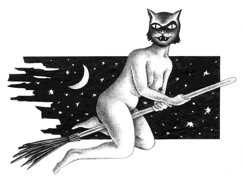 Catwoman on a Broom © 1993