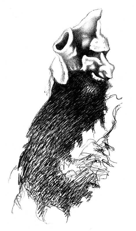 The Black Beard © 1996