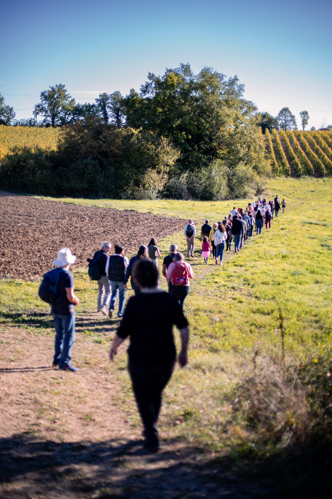 Domaine de Cantalauze
