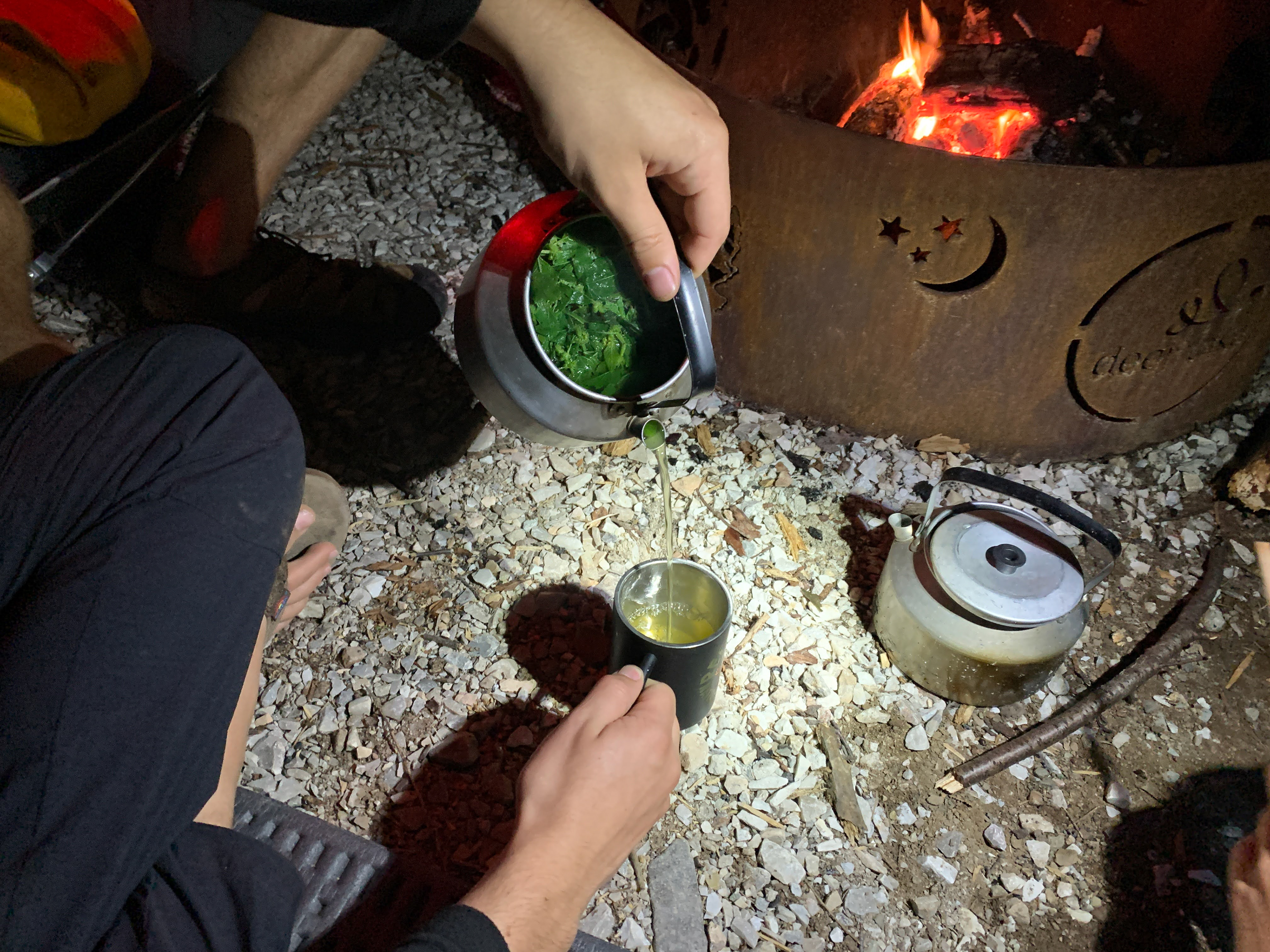 fresh picked mint tea