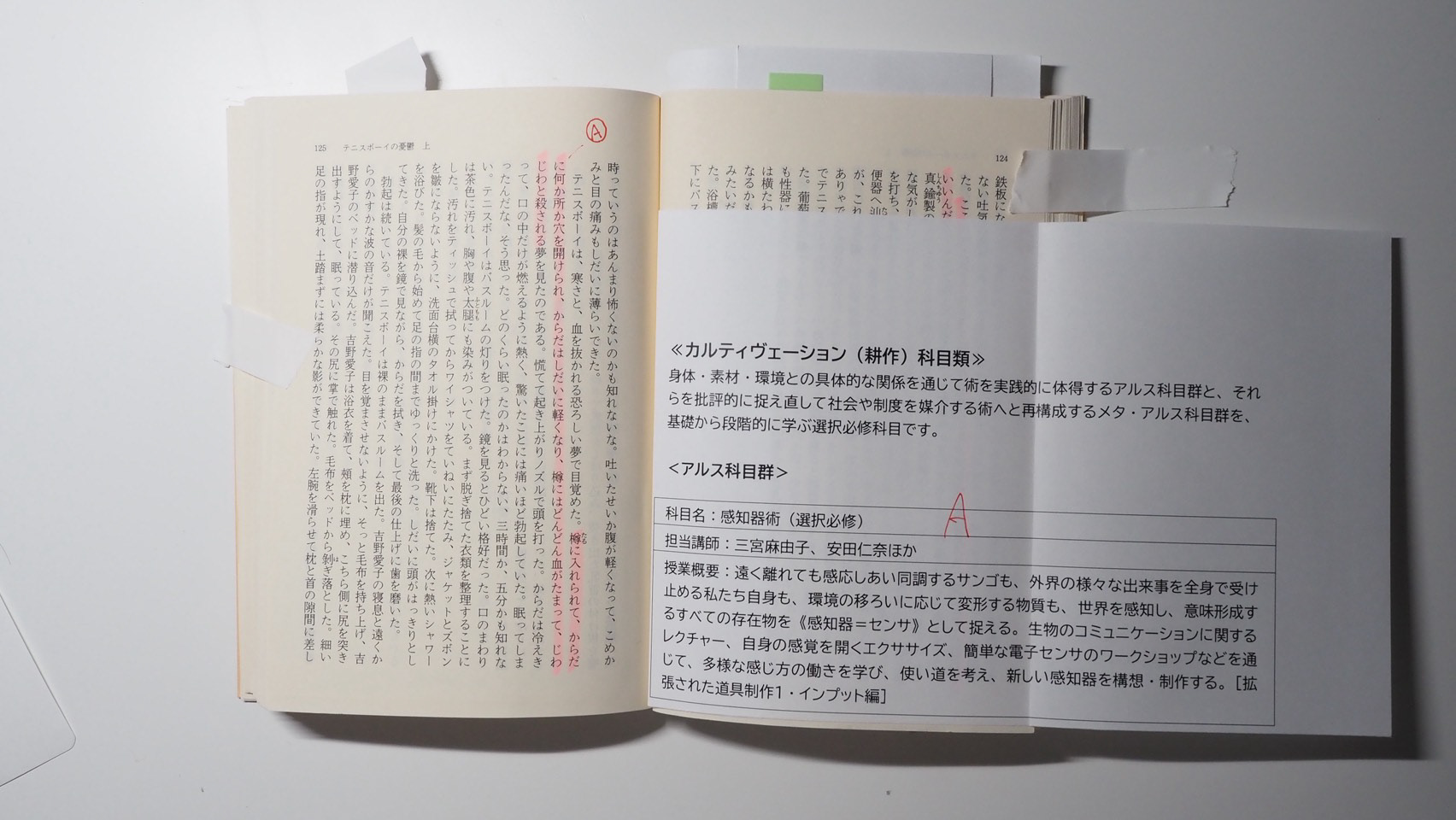科目説明の部分を貼り付け、科目の内容に関連する描写にマークを付けた