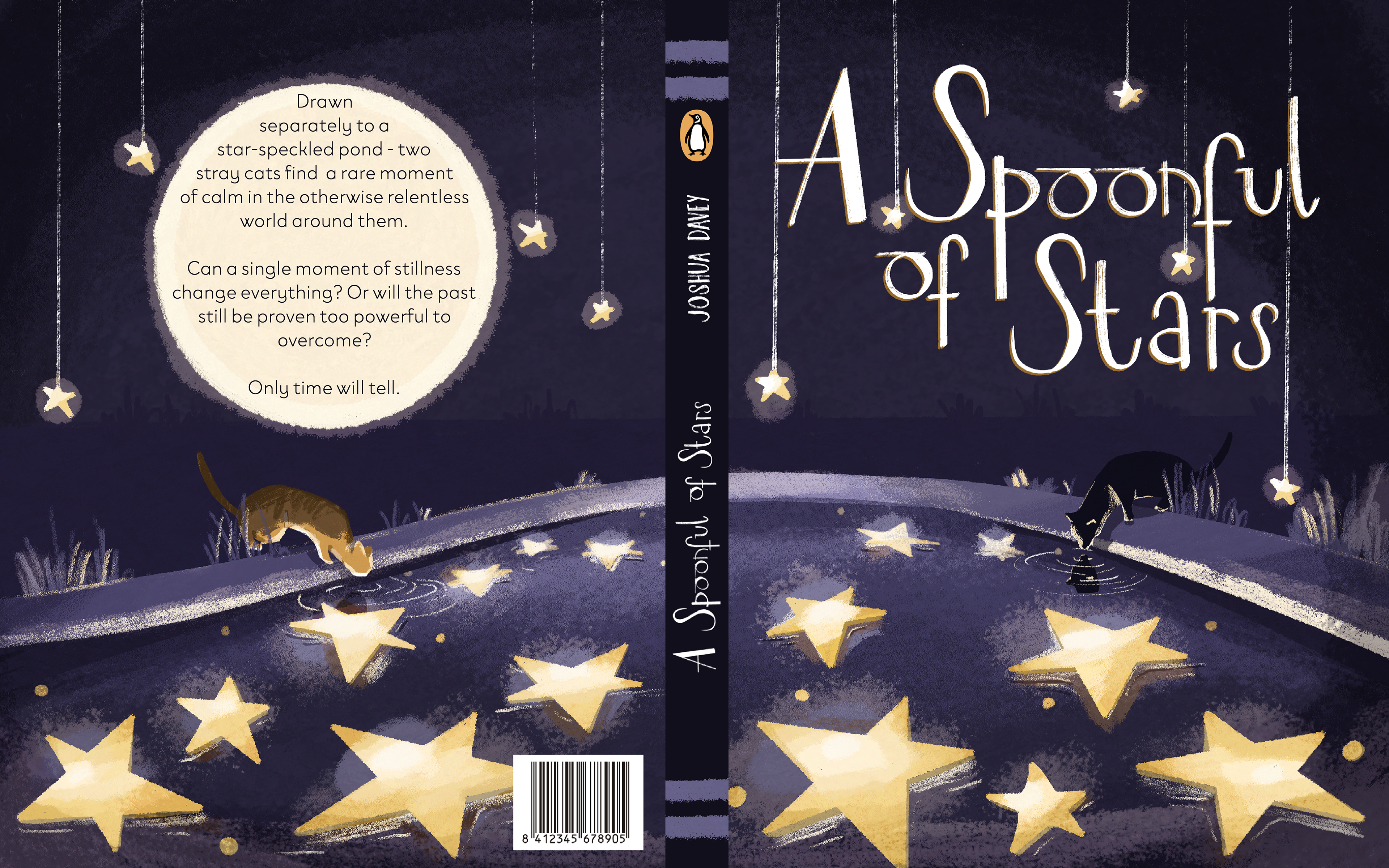 Cover for the imagined book - "A Spoonful of Stars"