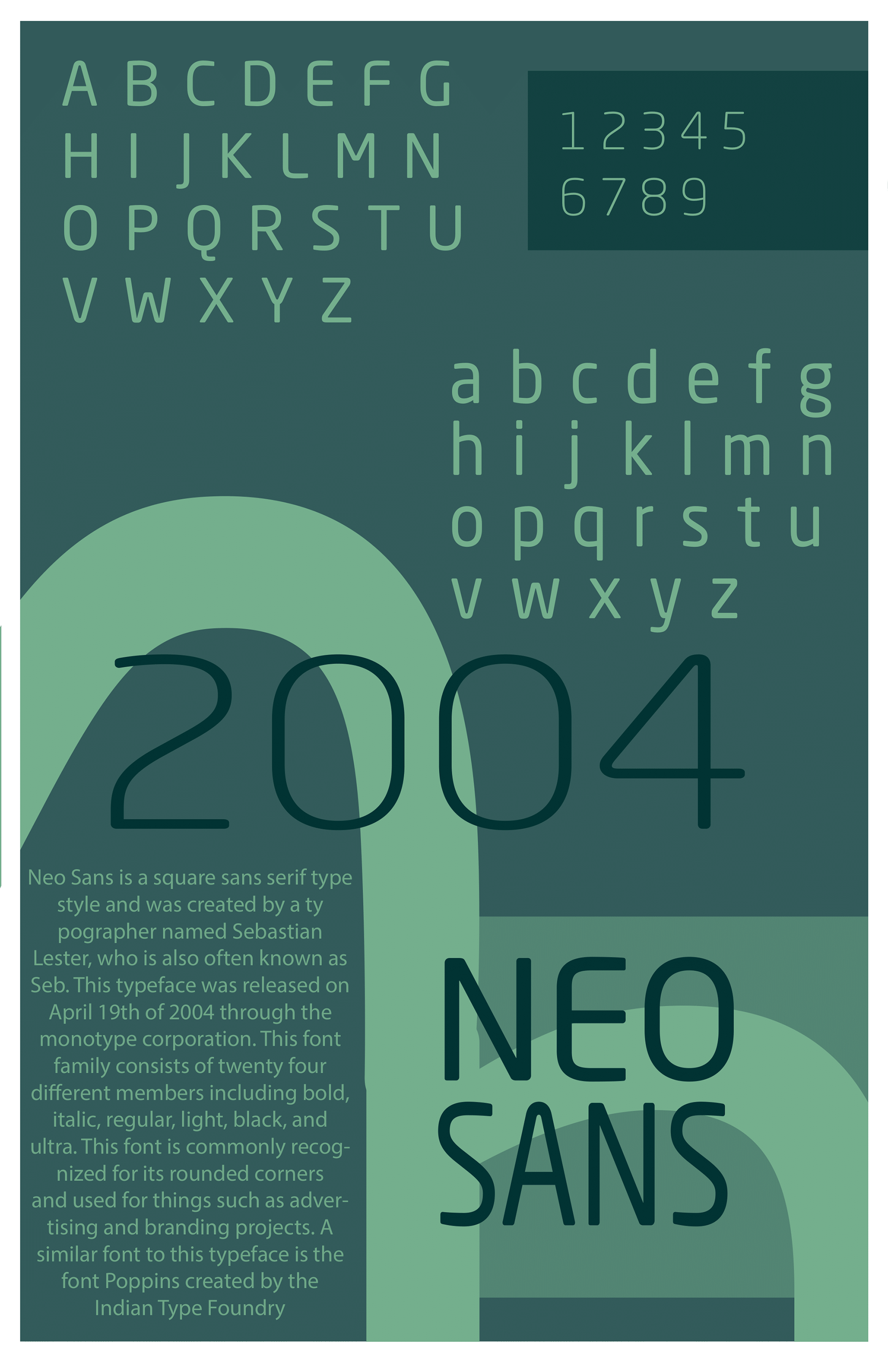 type Classification Poster. Typography. 2023