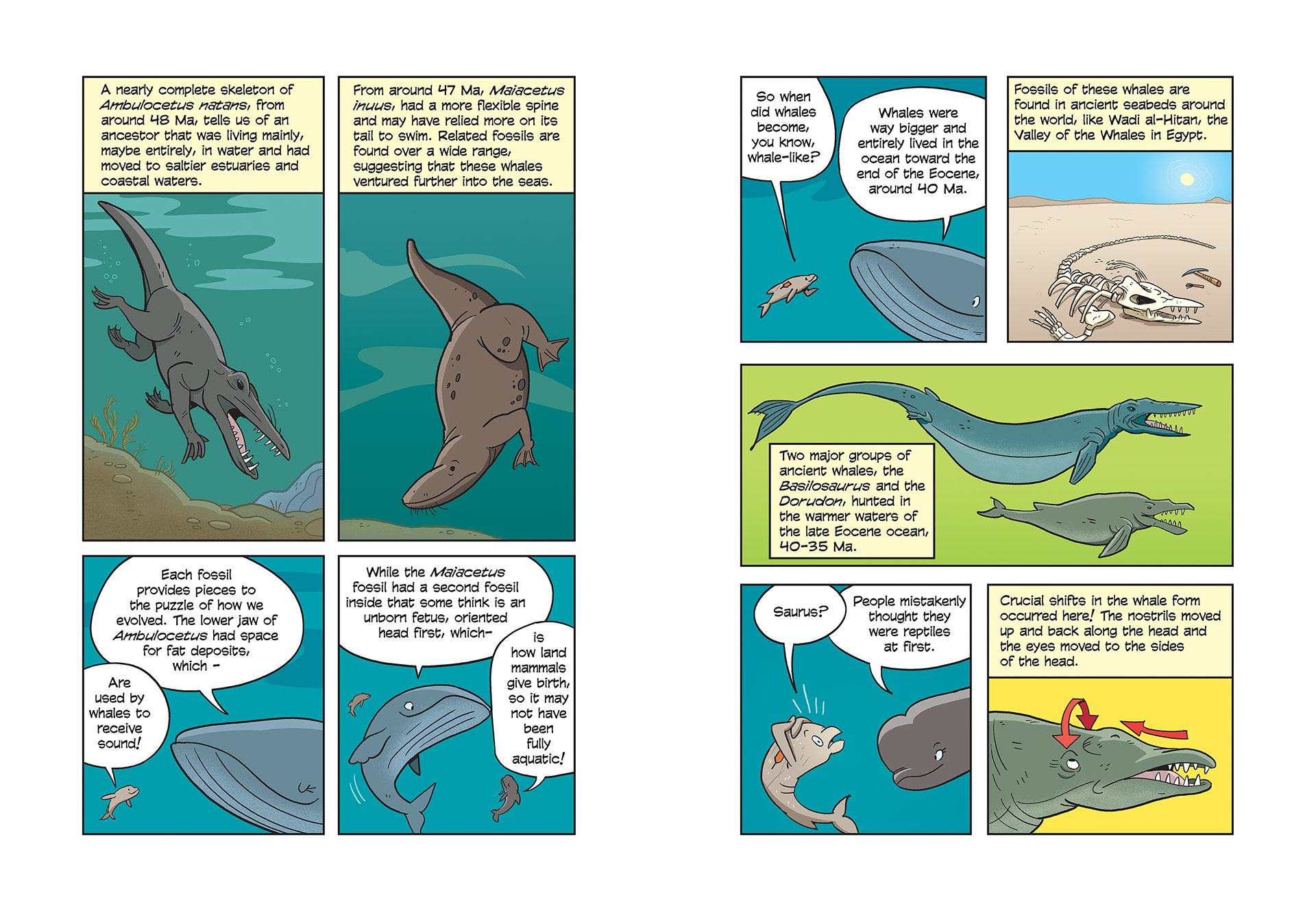 Science Comics: Whales pages 58-59