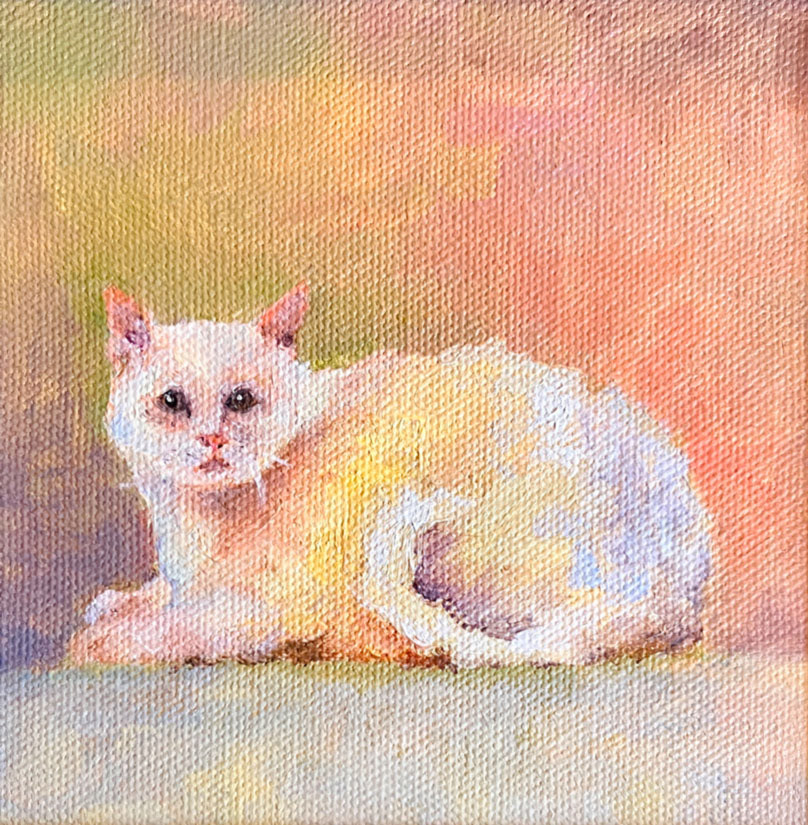 Wirehair Cat, Oil on Canvas