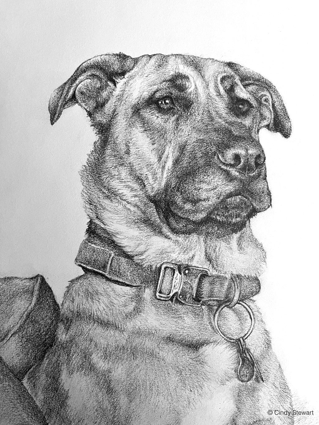 Hank, Graphite