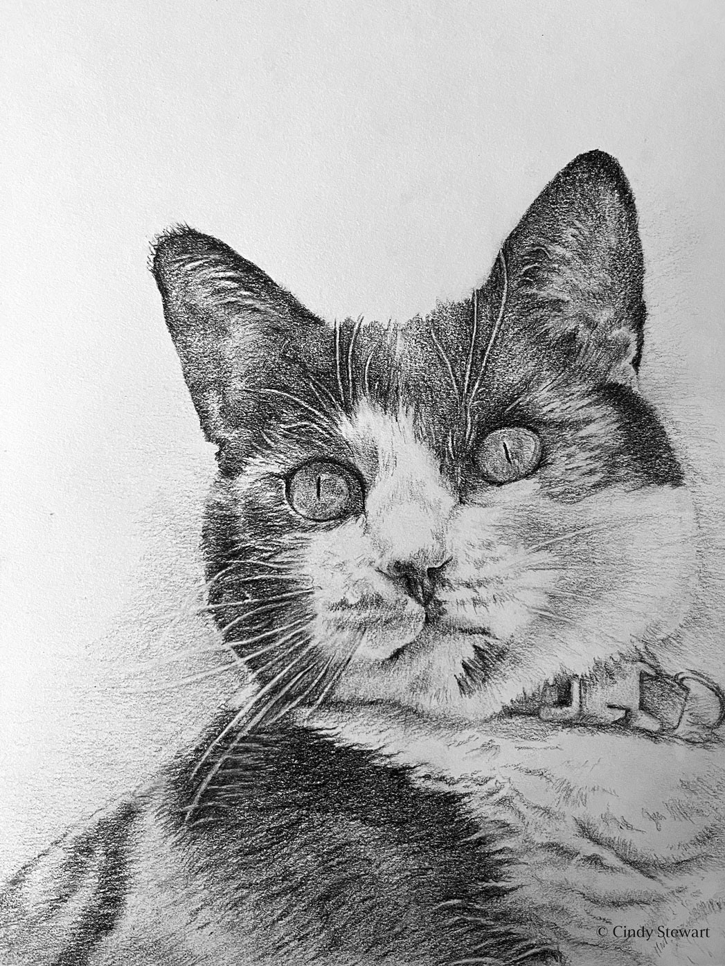 Amalie, Graphite