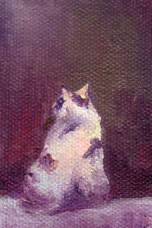 Cat's Cold Shoulder, Oil on Canvas