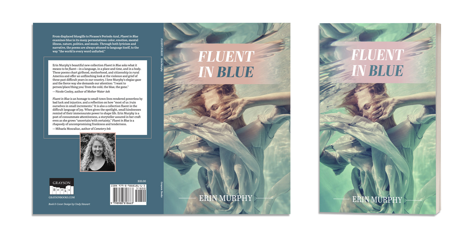 Fluent in Blue Cover Design & Typesetting / Grayson Books Publishing