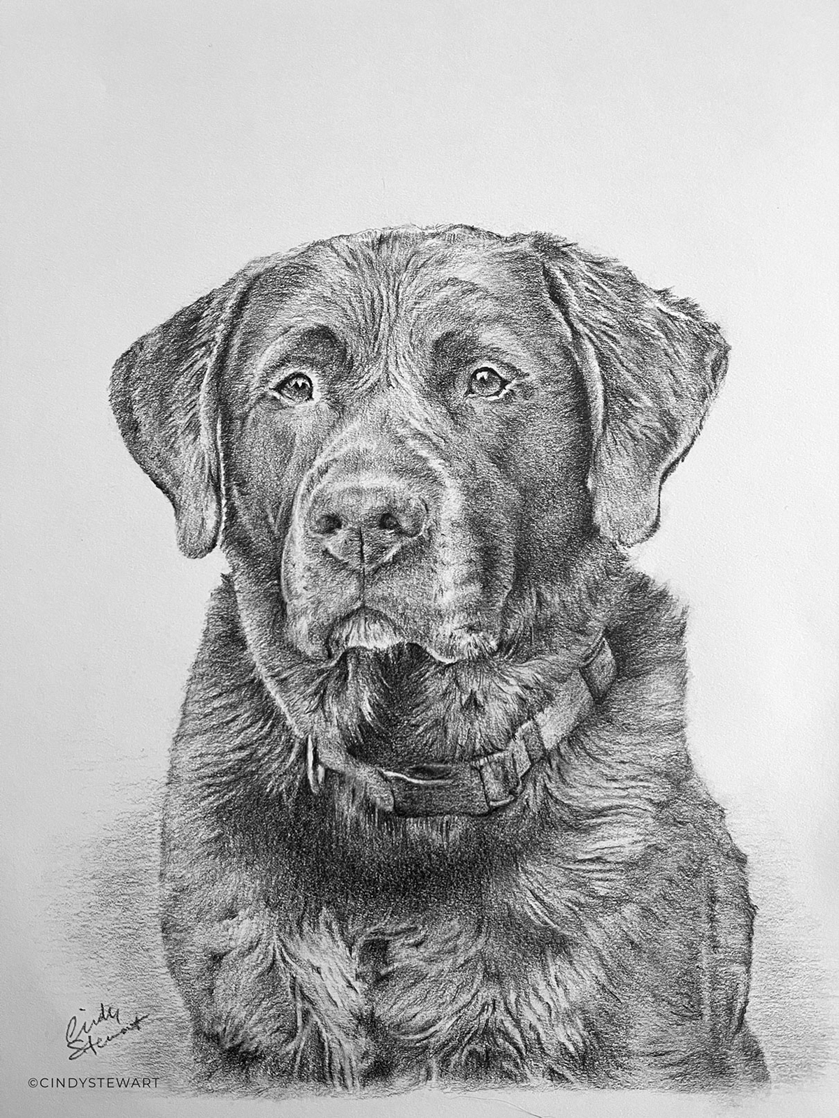 Barrington, Graphite