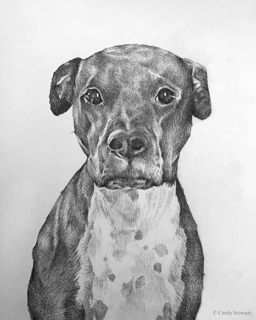 Nova, Graphite