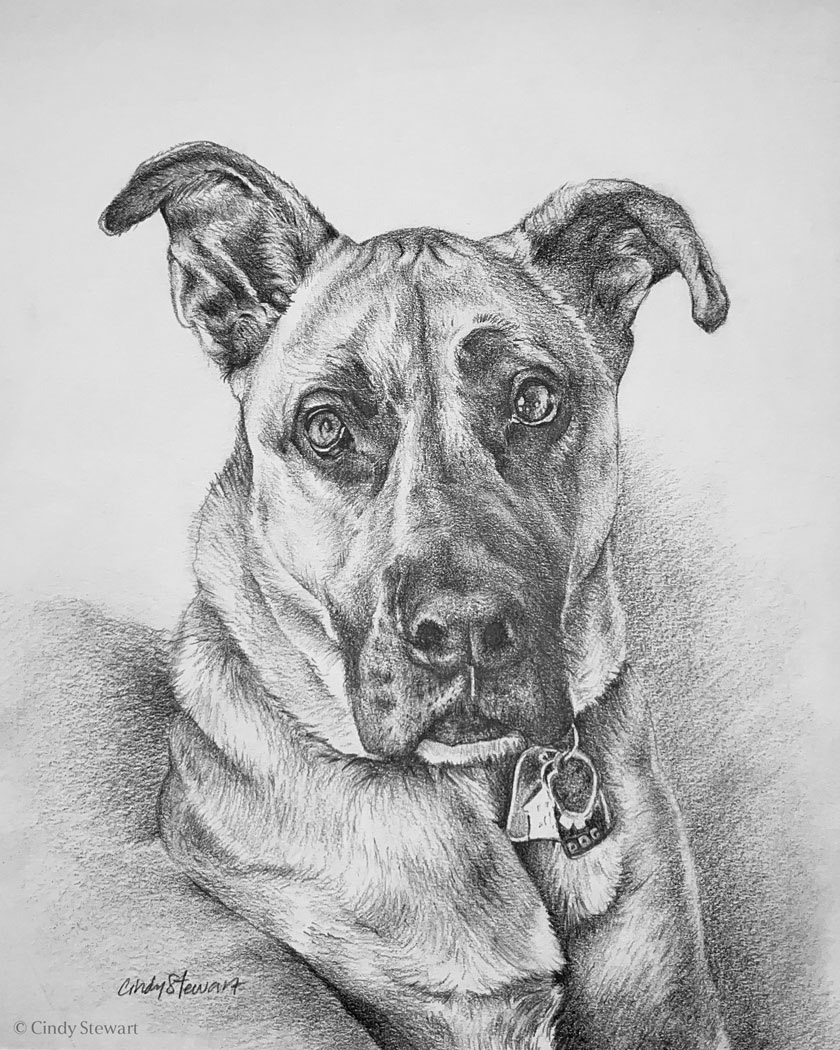 Scout, Graphite