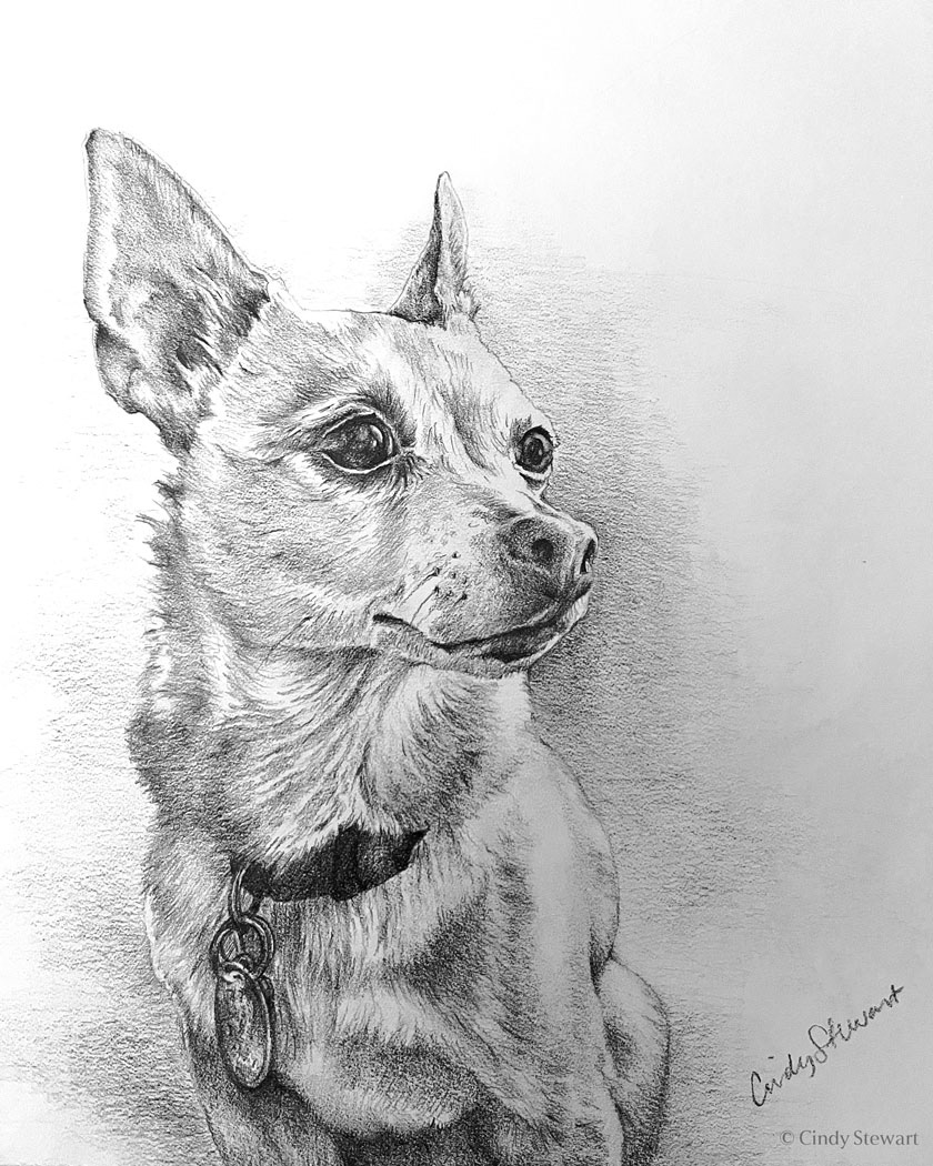 Yoshi, Graphite