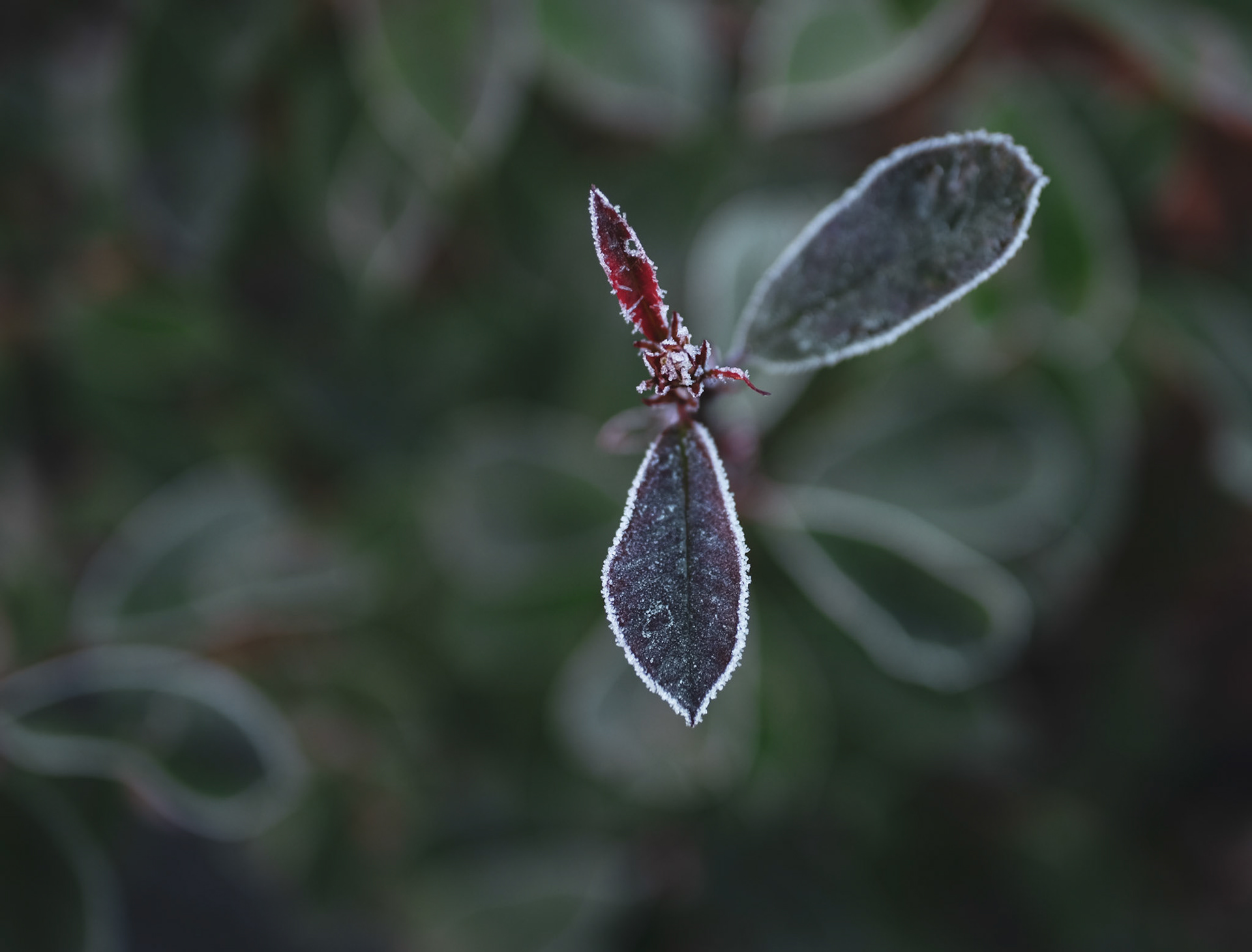 Maine-et-Loire, France