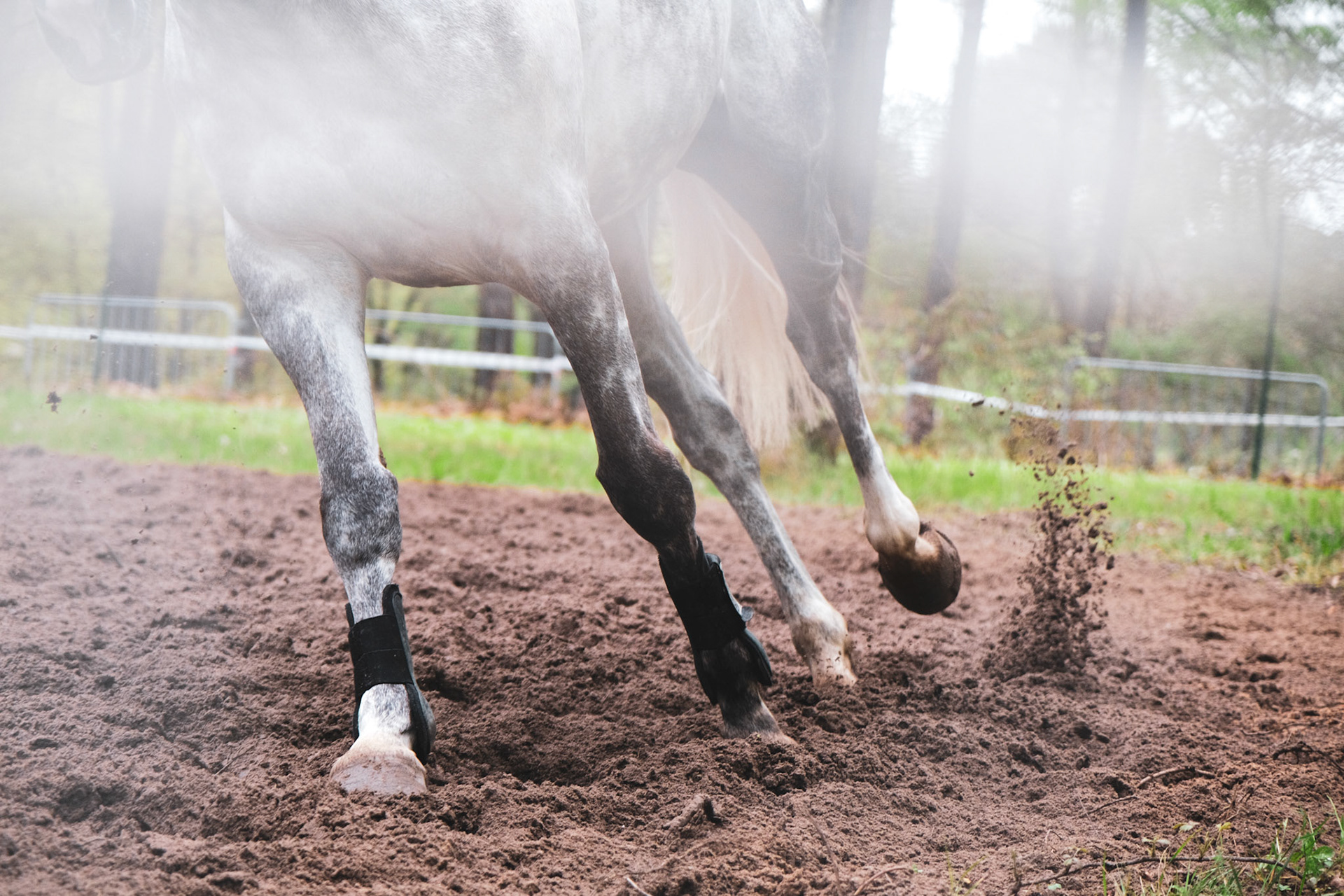 Hippodrome de la Verrie (Saumur, France)