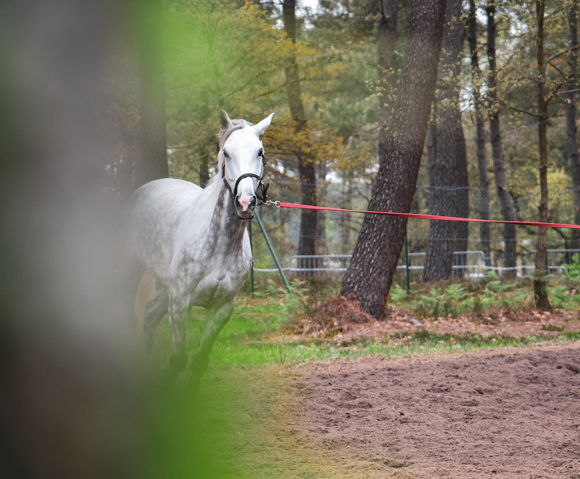 Hippodrome de la Verrie (Saumur, France)