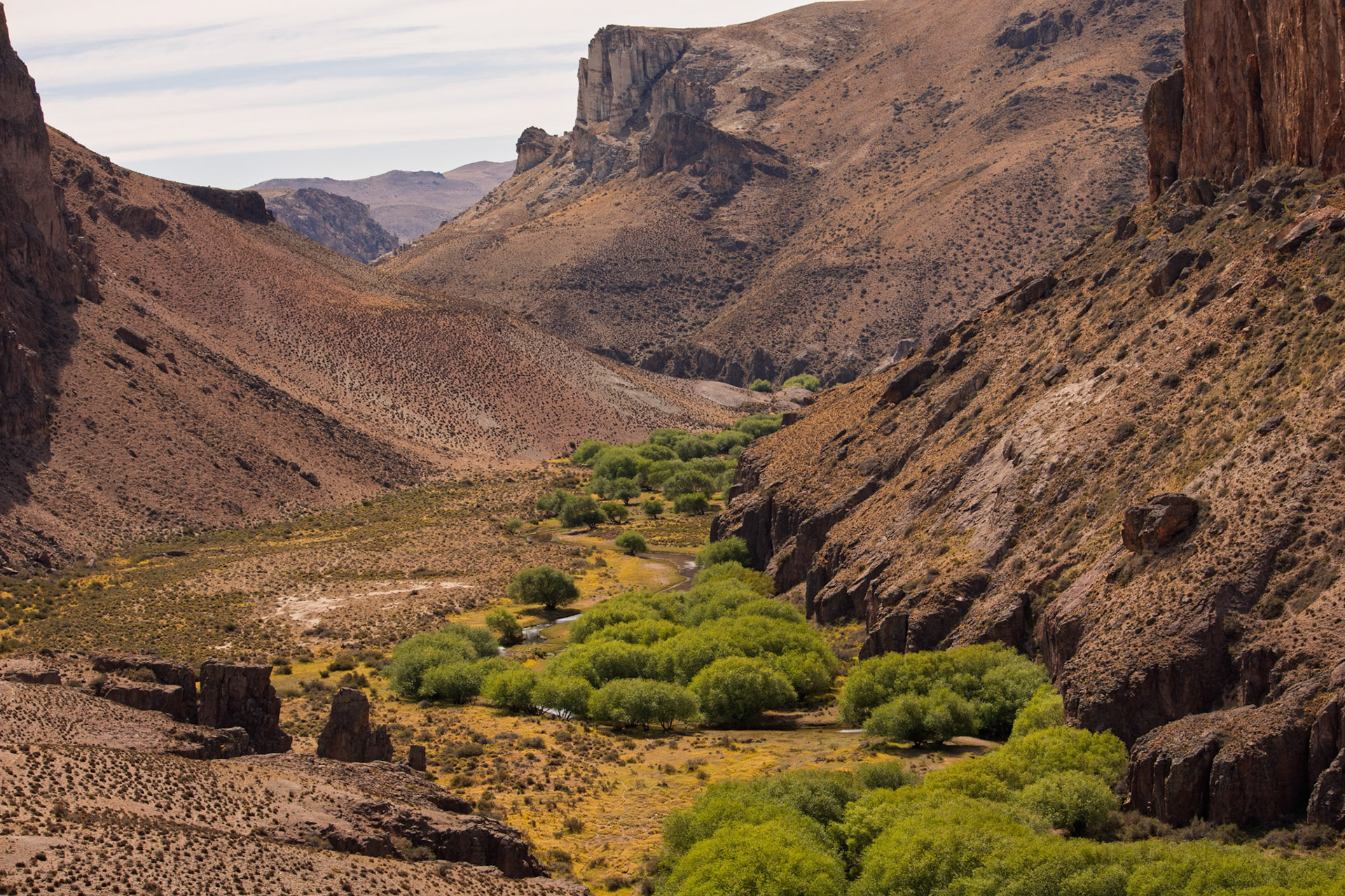 Cañadon del Río Pintura