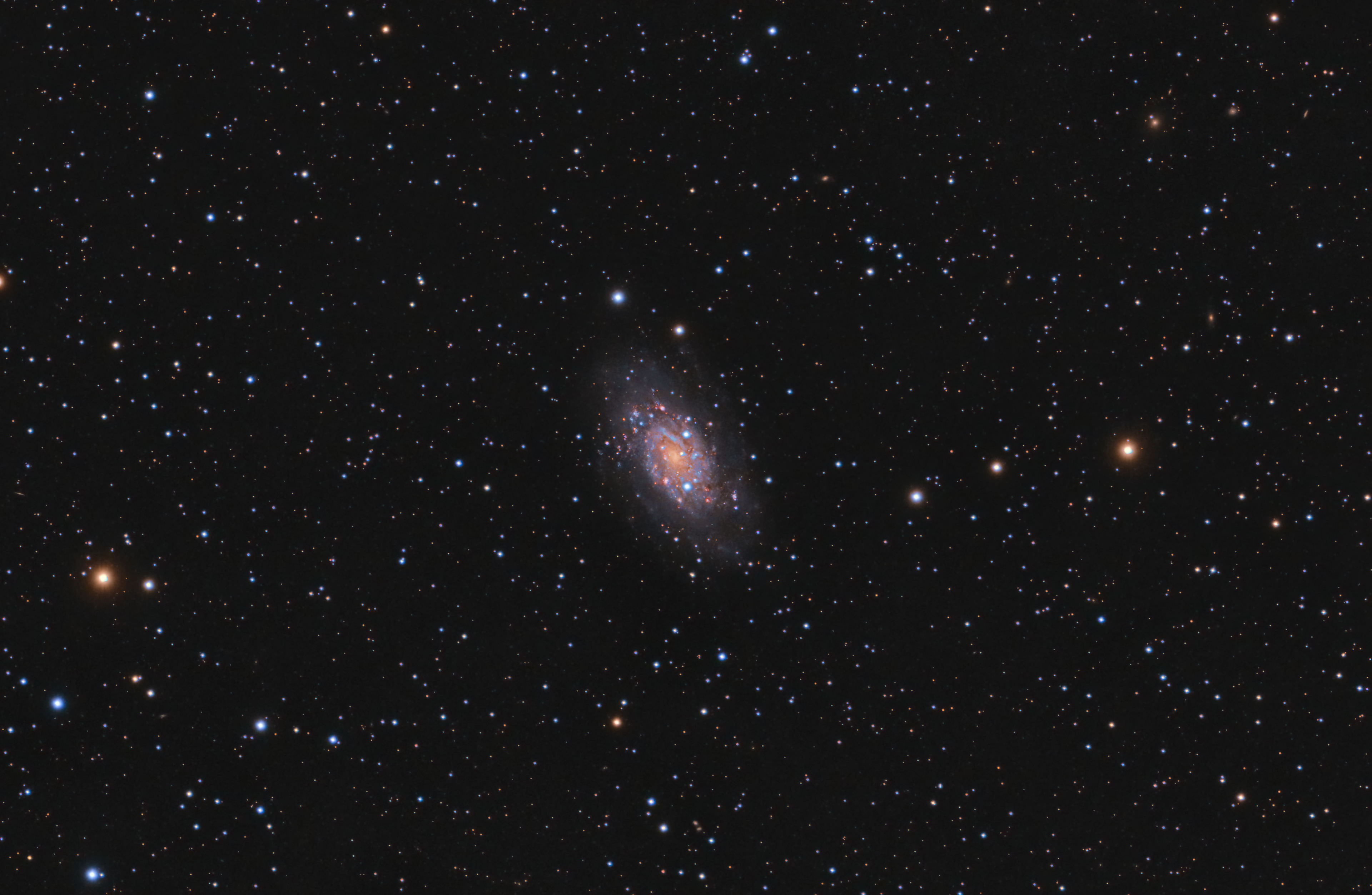 NGC2403
