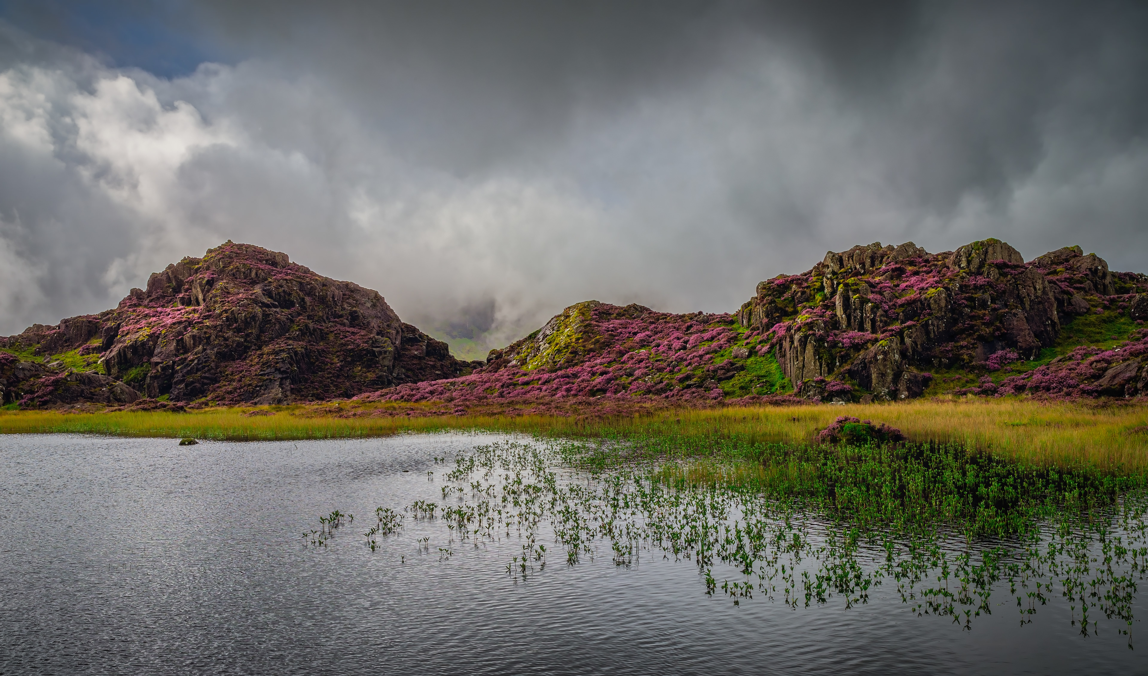 Innominate Tarn