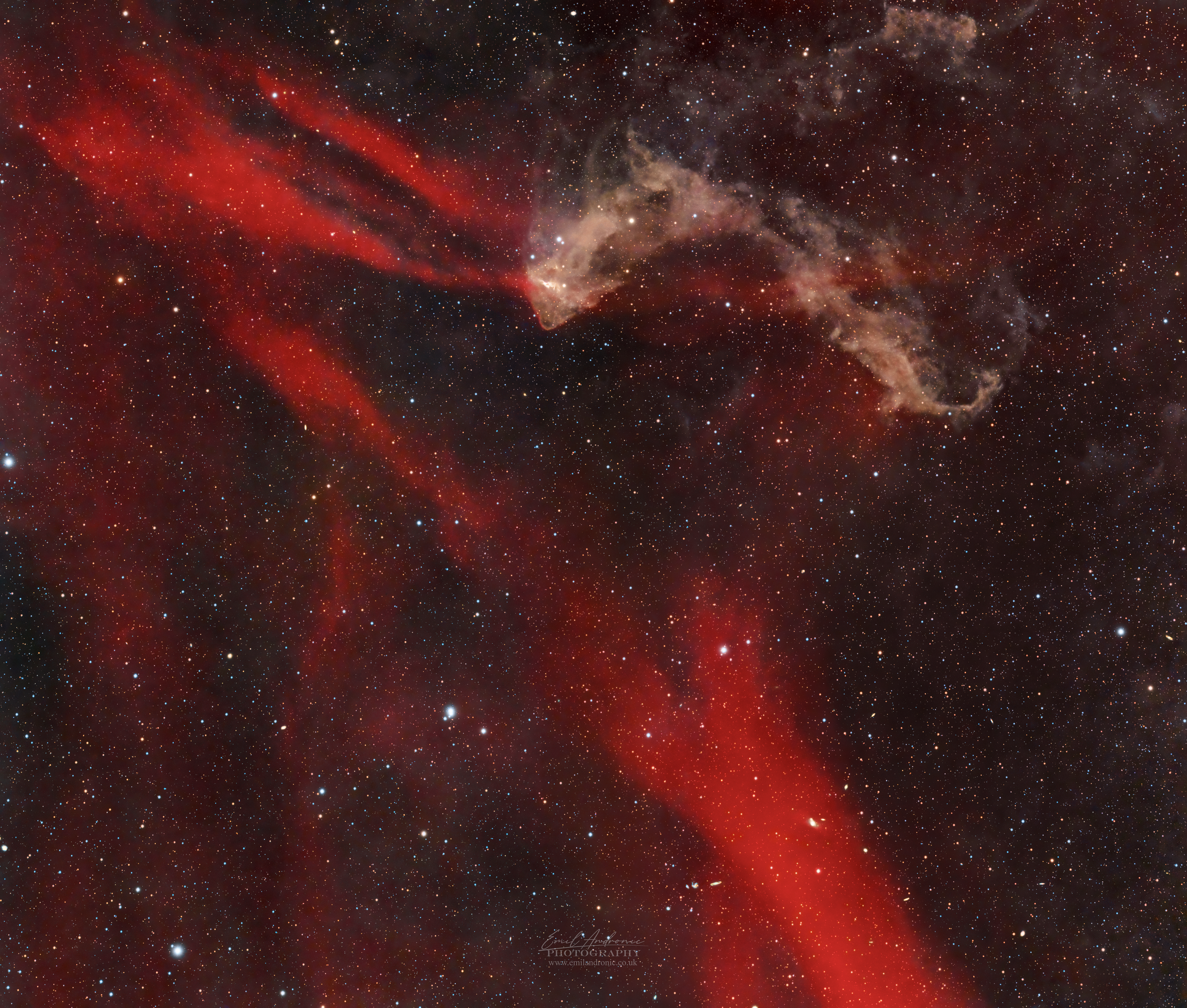 The Gecko nebula