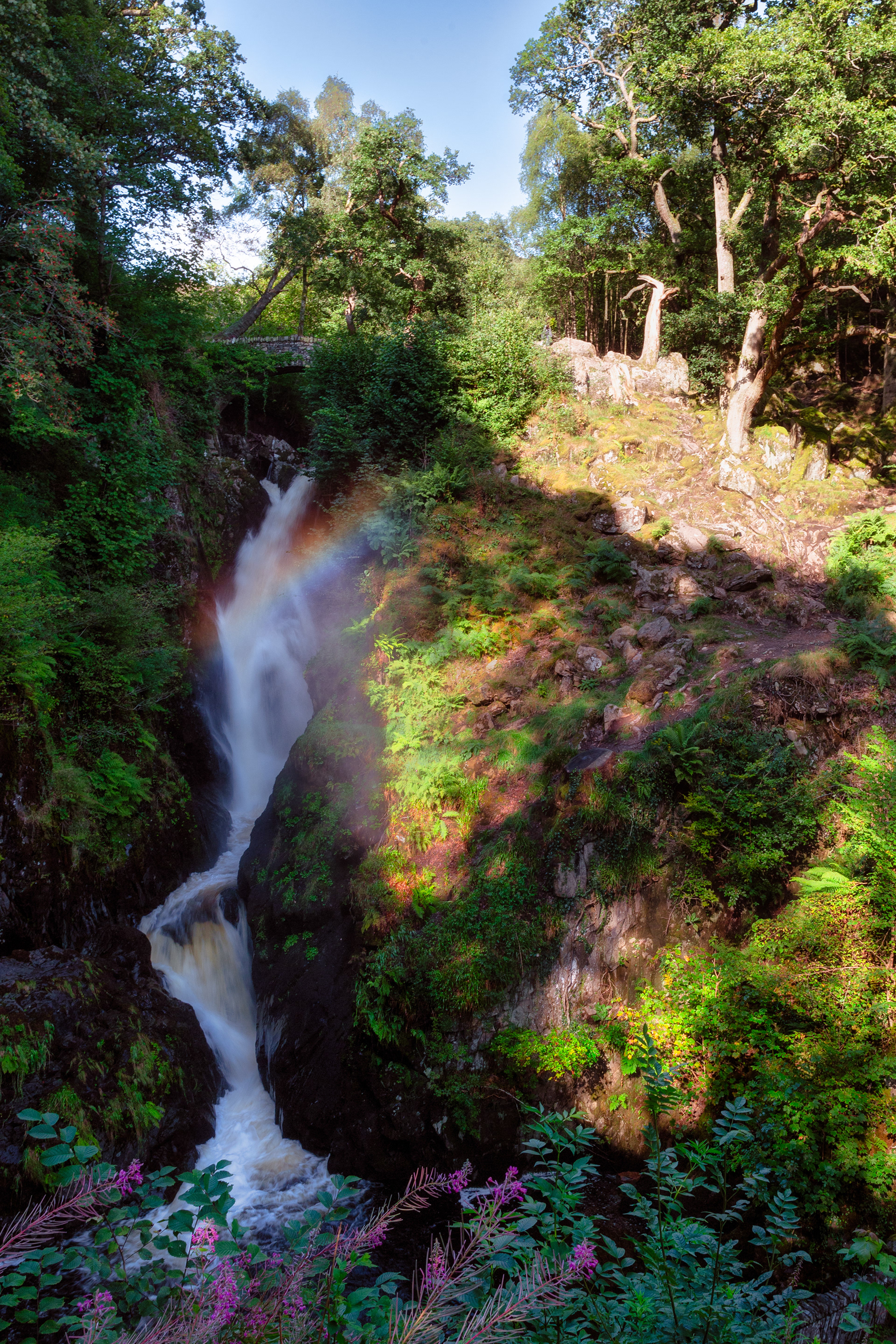 Aira Force