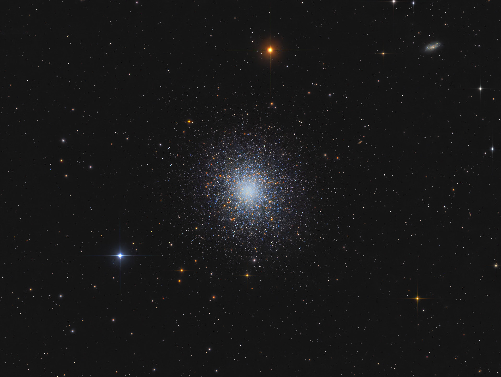 The Great Cluster in Hercules