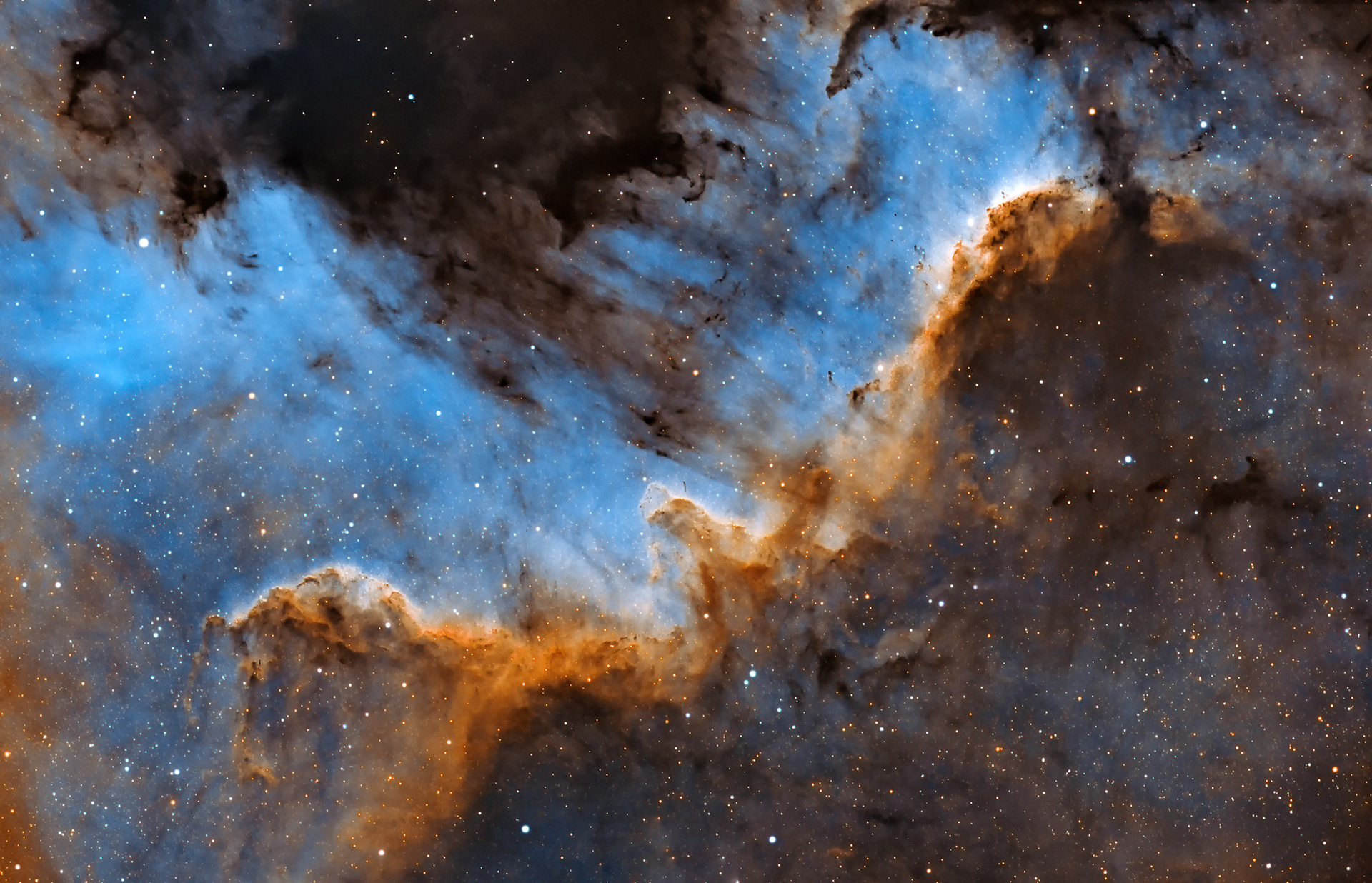 Cygnus Wall