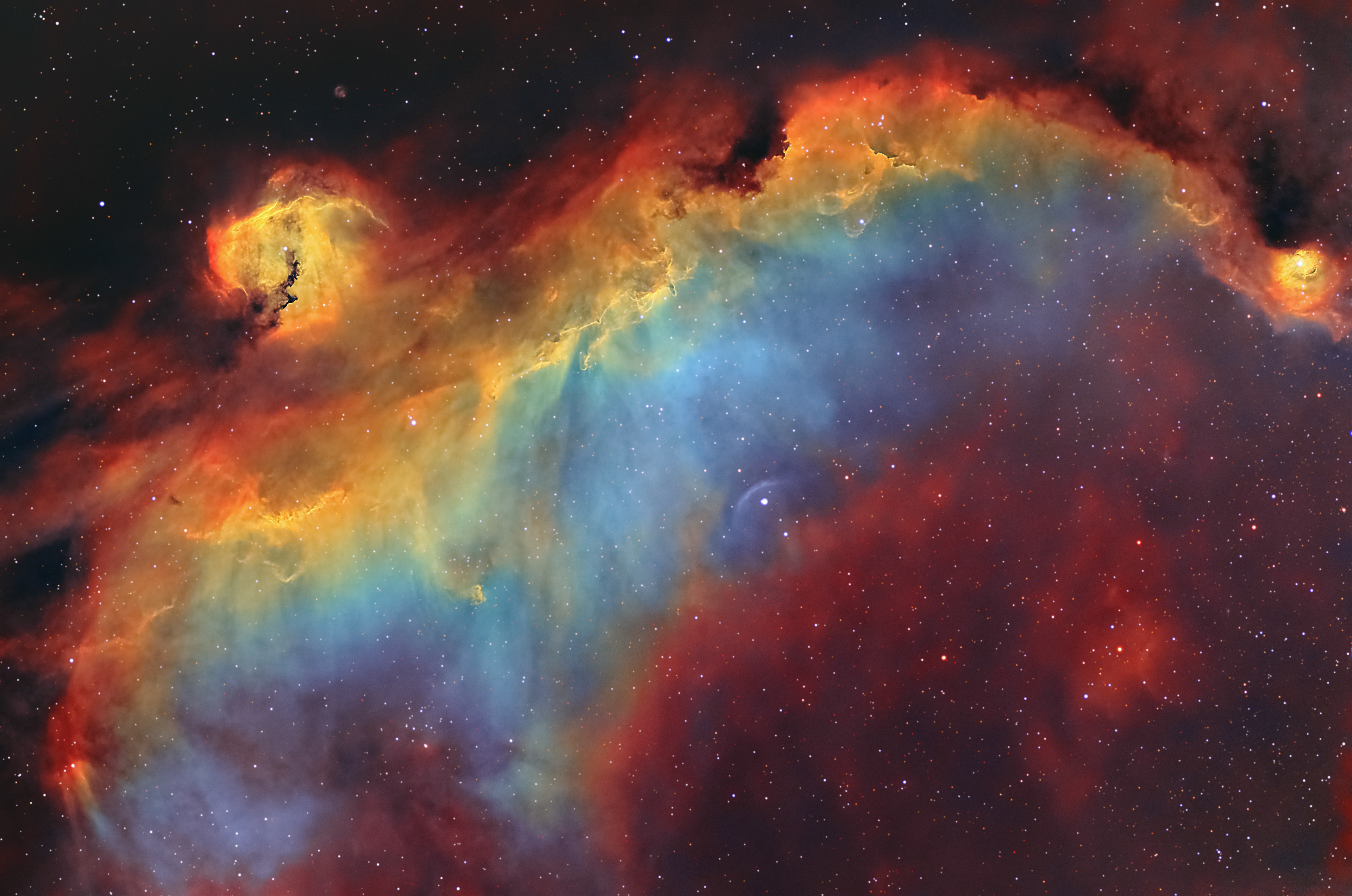 The Seagull nebula