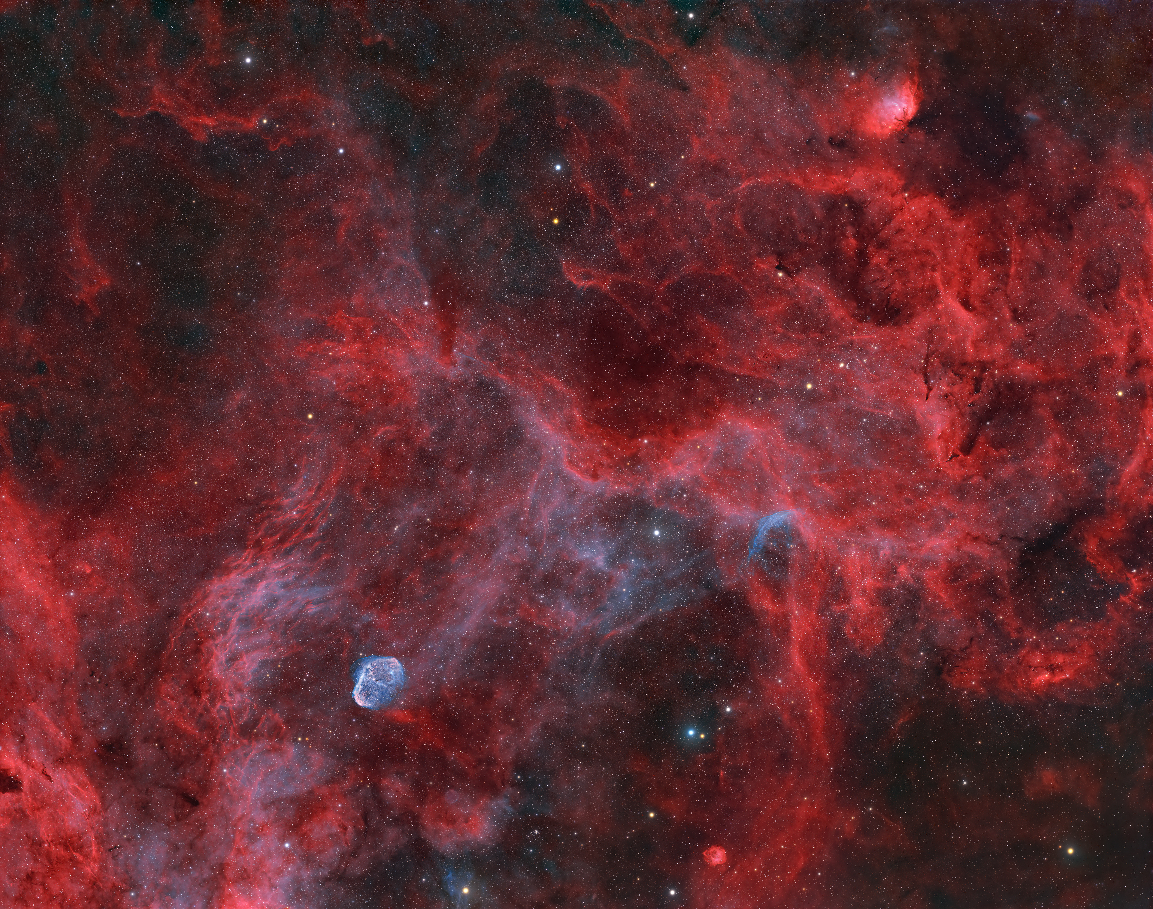 The Tulip, The Crescent and WR134