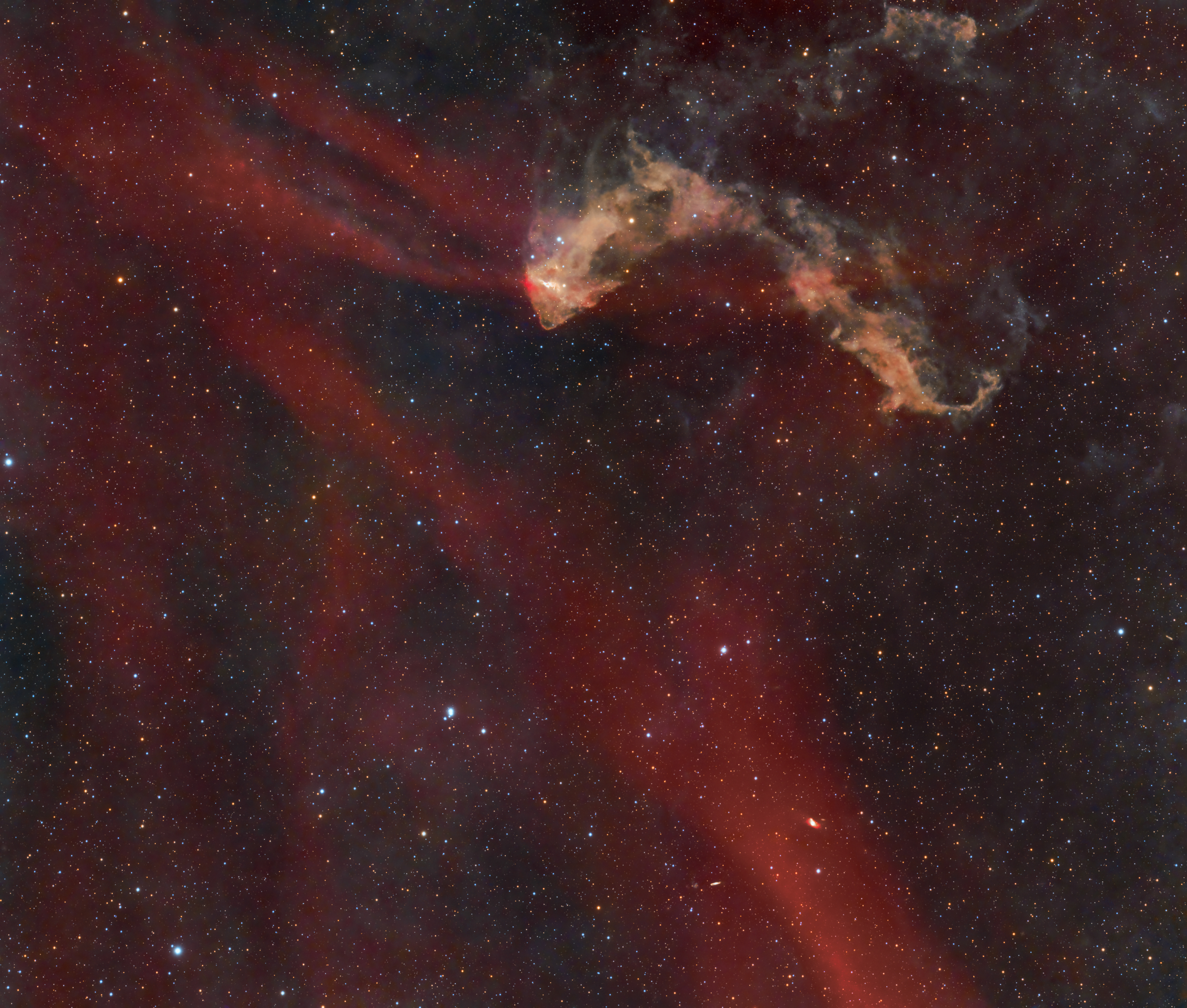 Gecko nebula mosaic