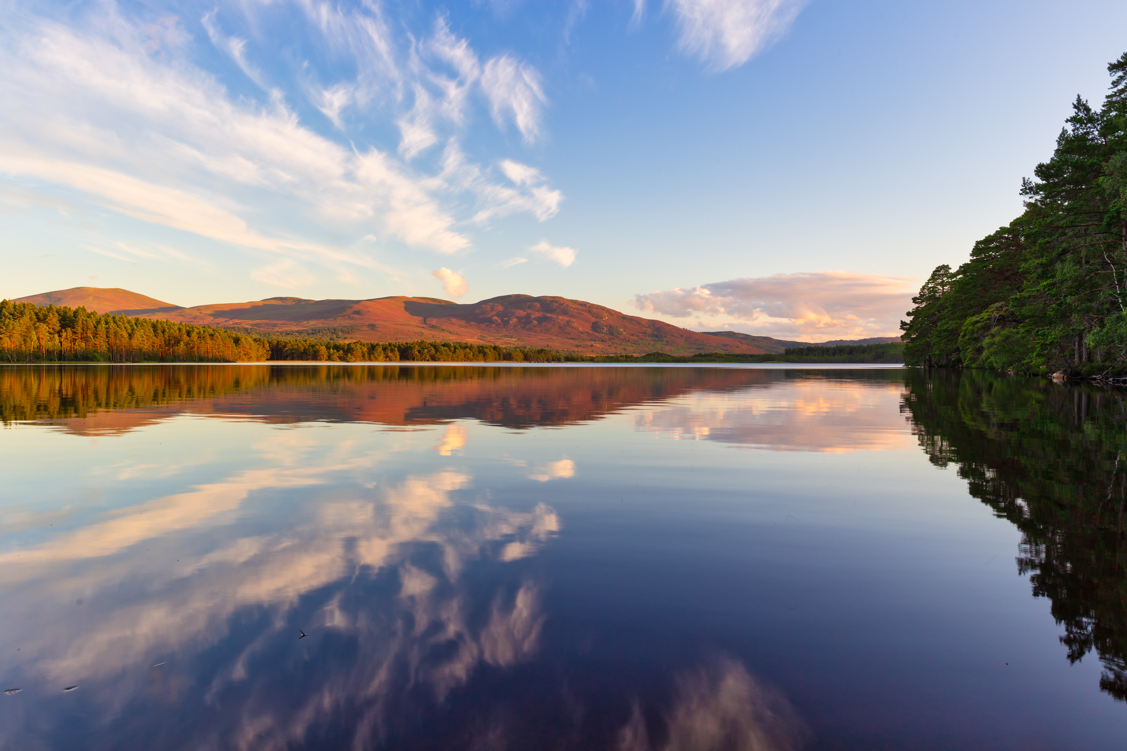 Loch Garten reflections