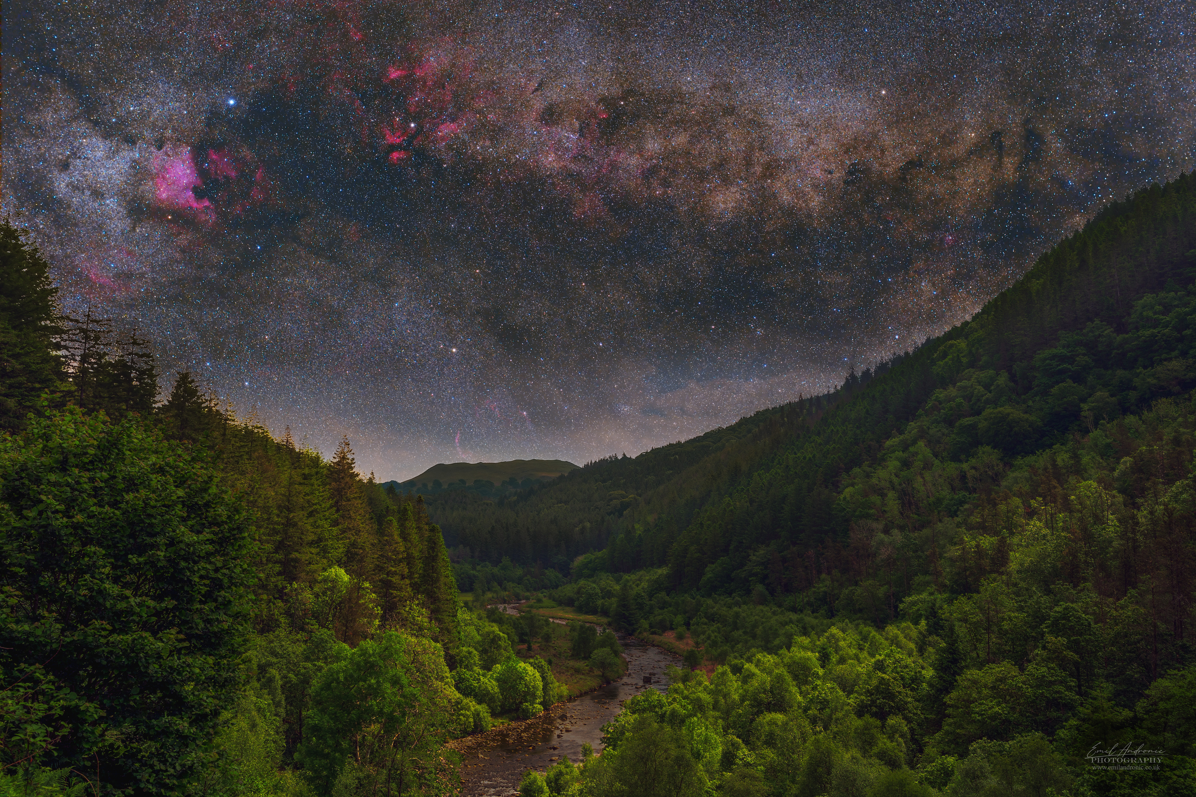 Cygnus - Hafod