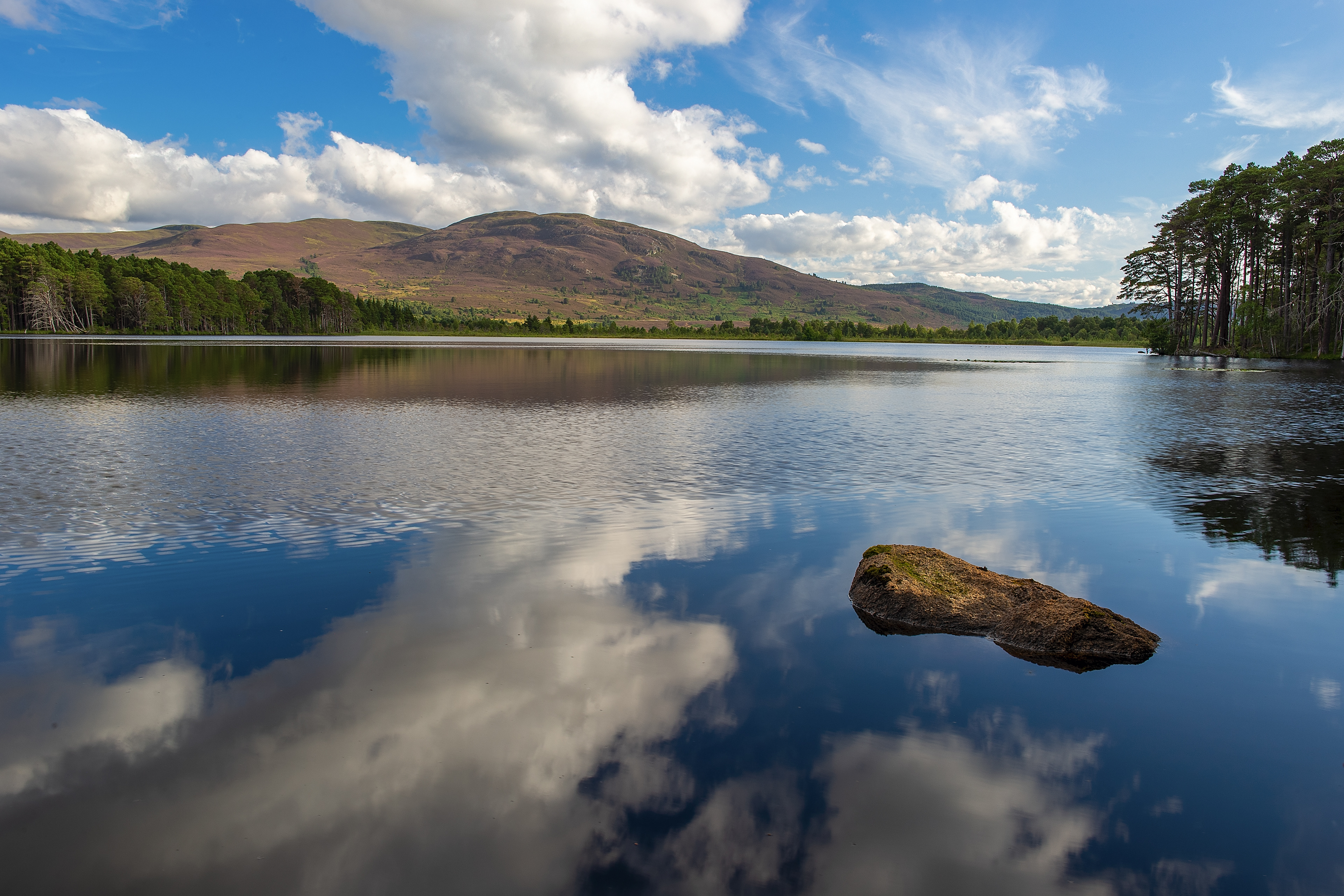Loch Garten