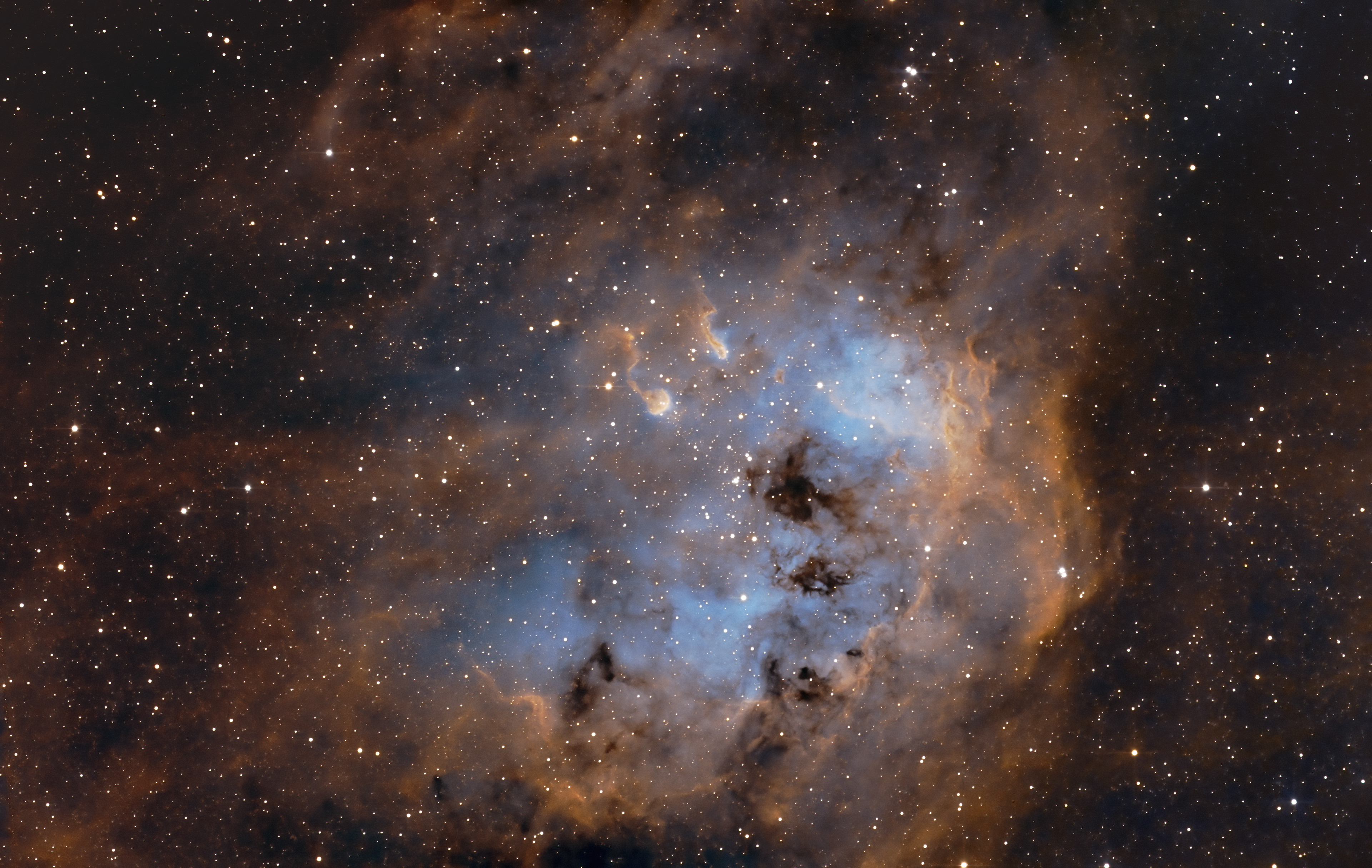 Tadpoles nebula