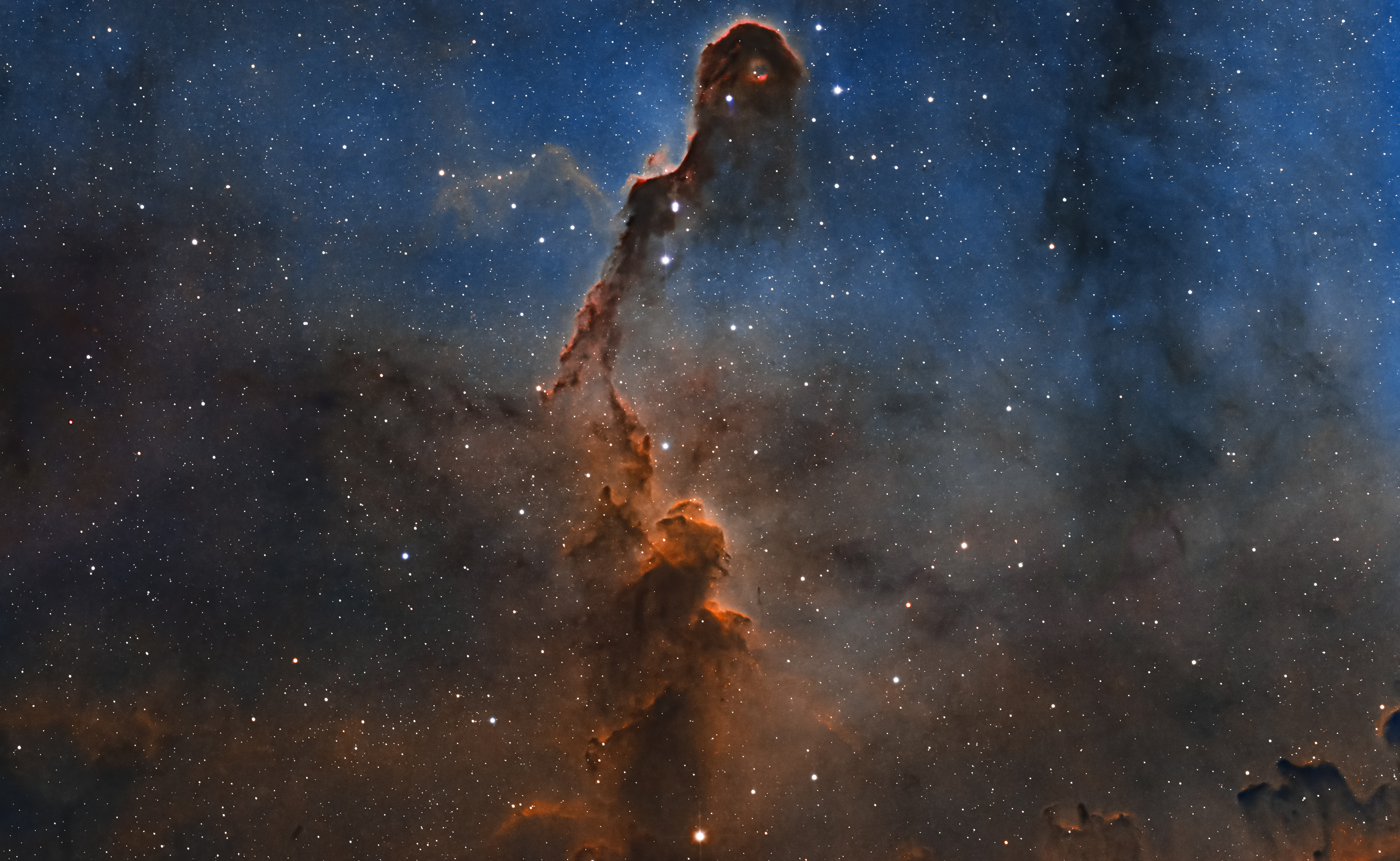 Elephant Trunk nebula