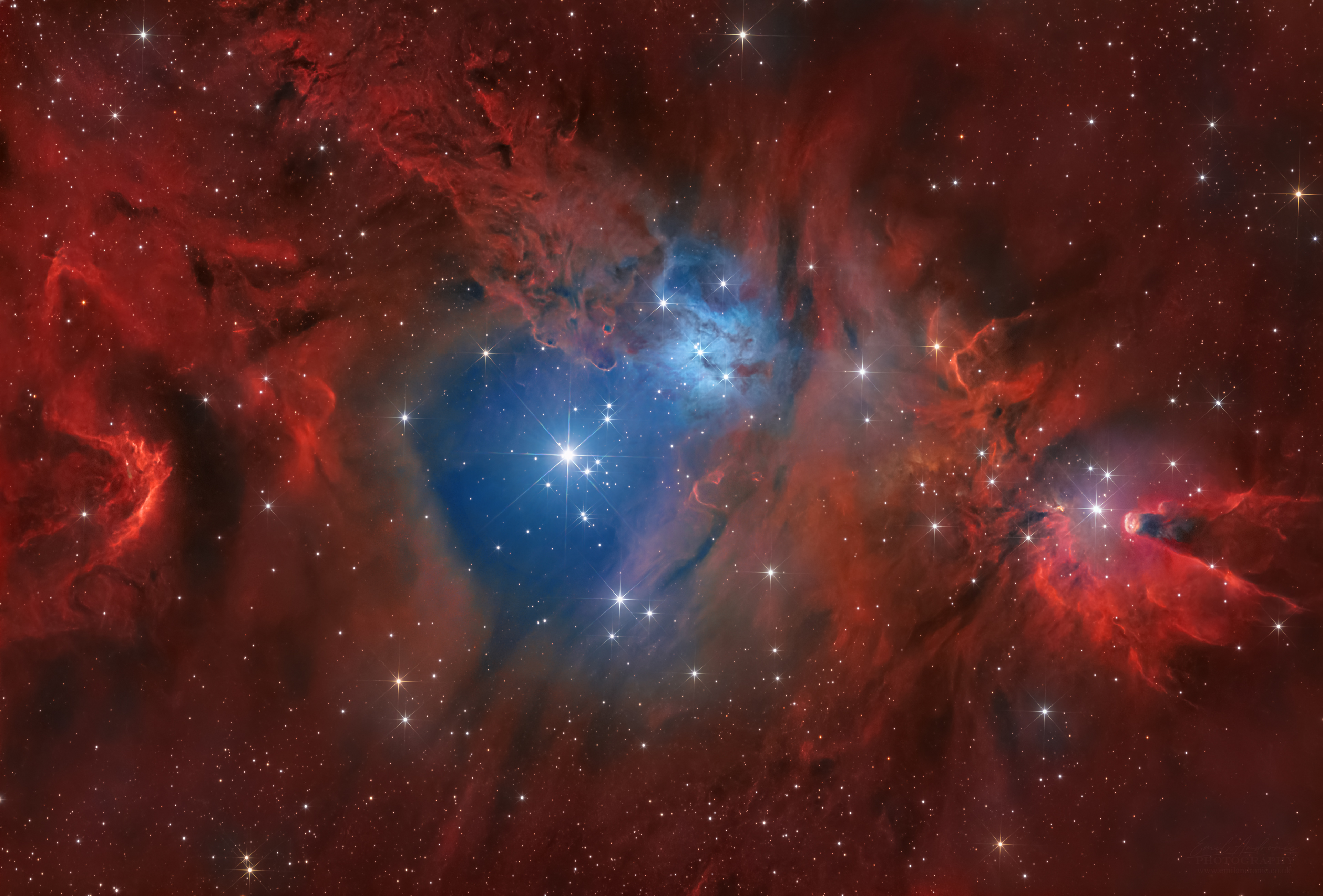 Cone and Fox Fur Nebula