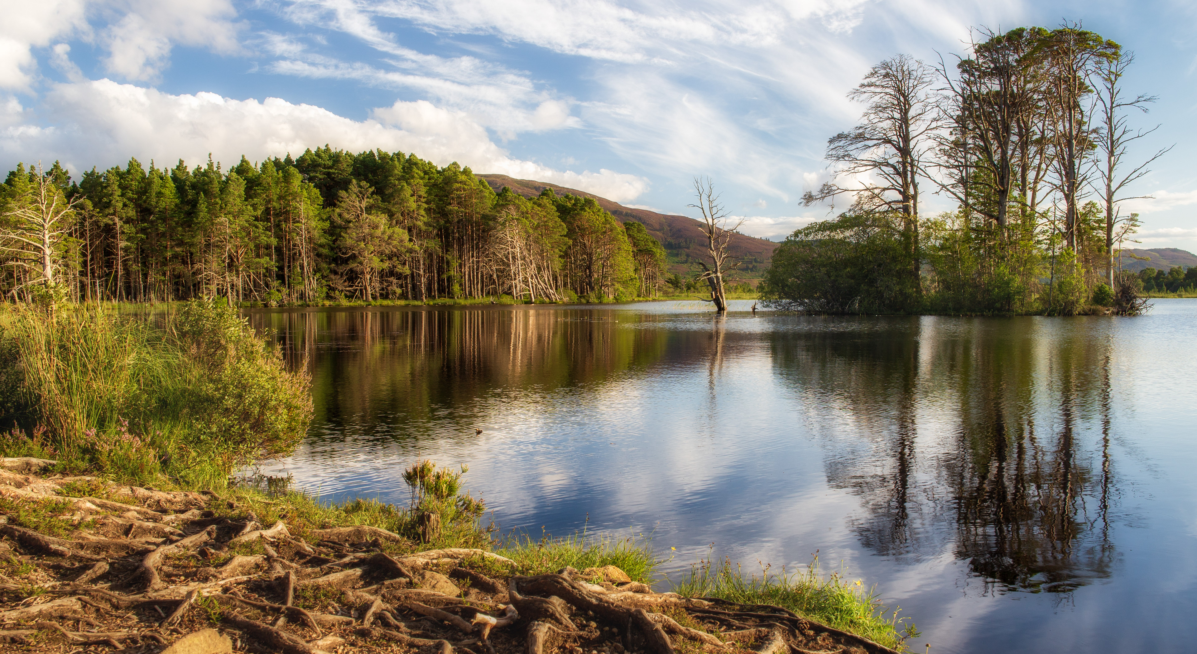Reflections at Loch Mallachie