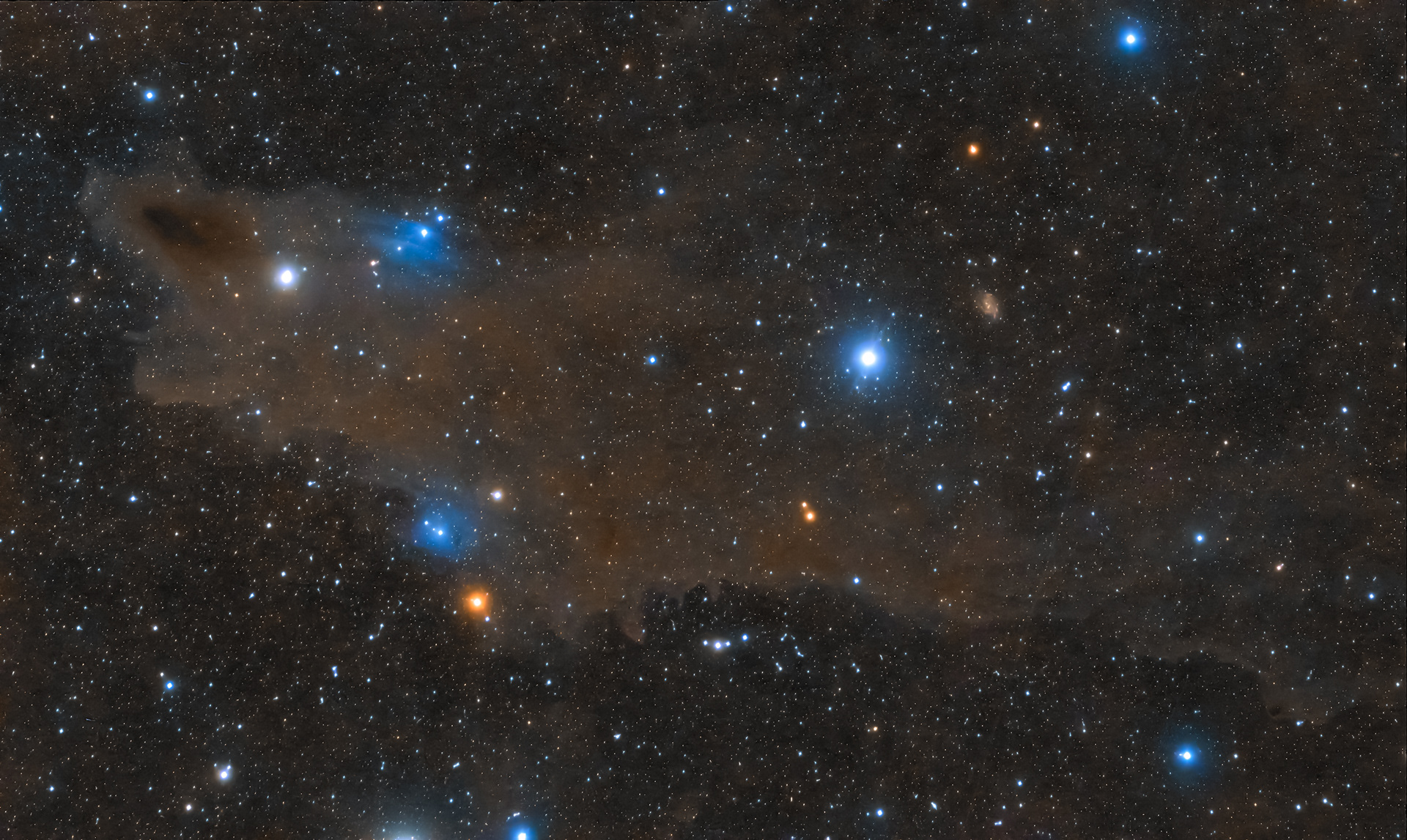 Dark Shark nebula