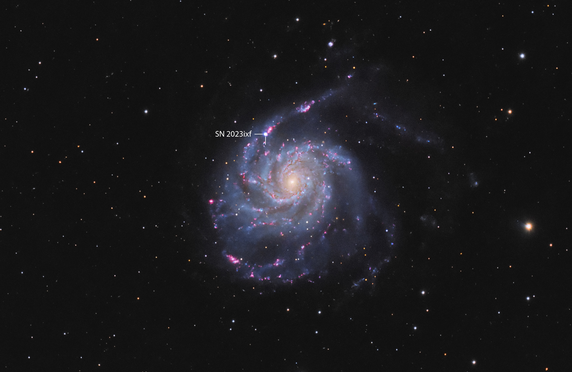 The Pinwheel galaxy and the supernova