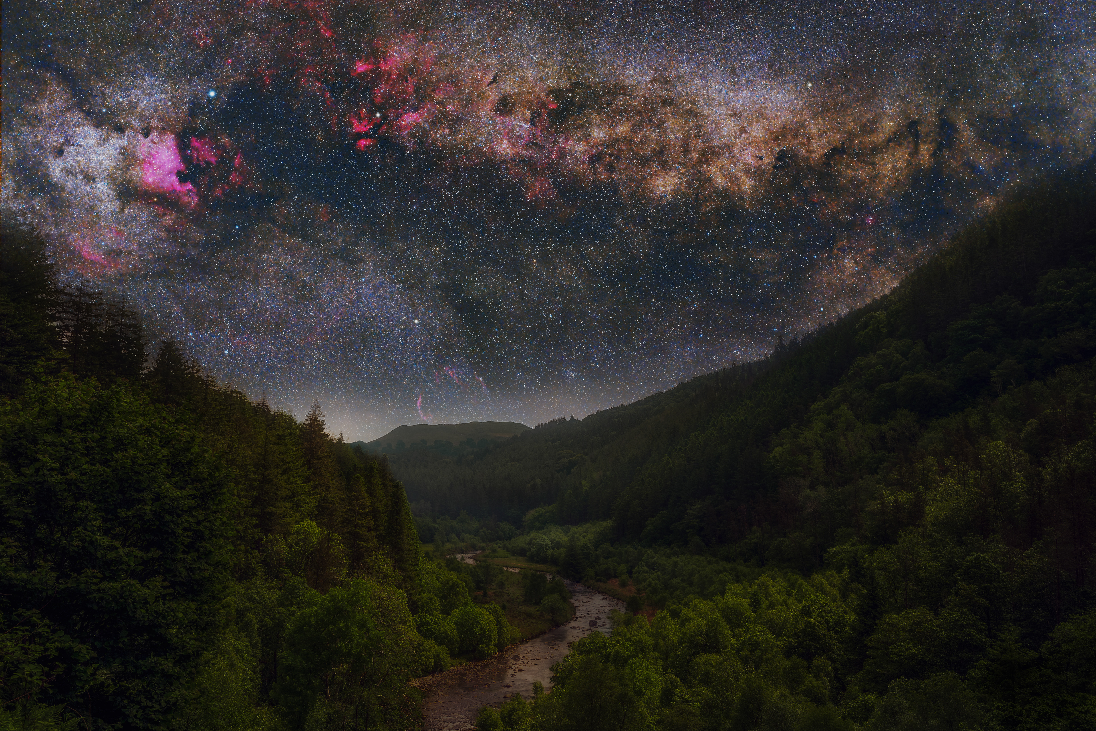Cygnus at Hafod Estate